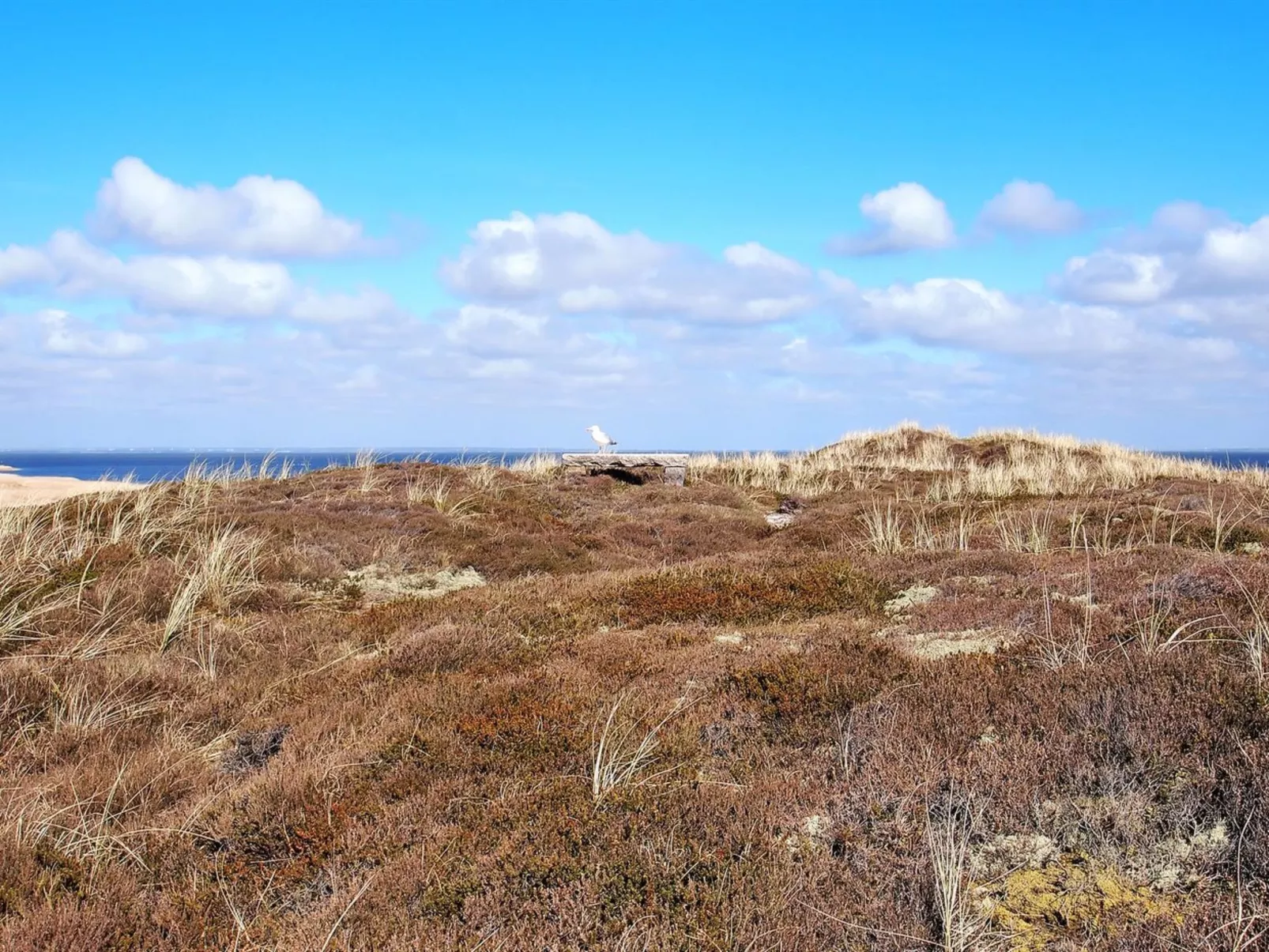 "Sutere" - 200m to the inlet-Buiten