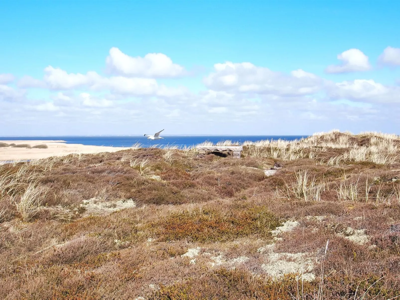"Sutere" - 200m to the inlet-Buiten