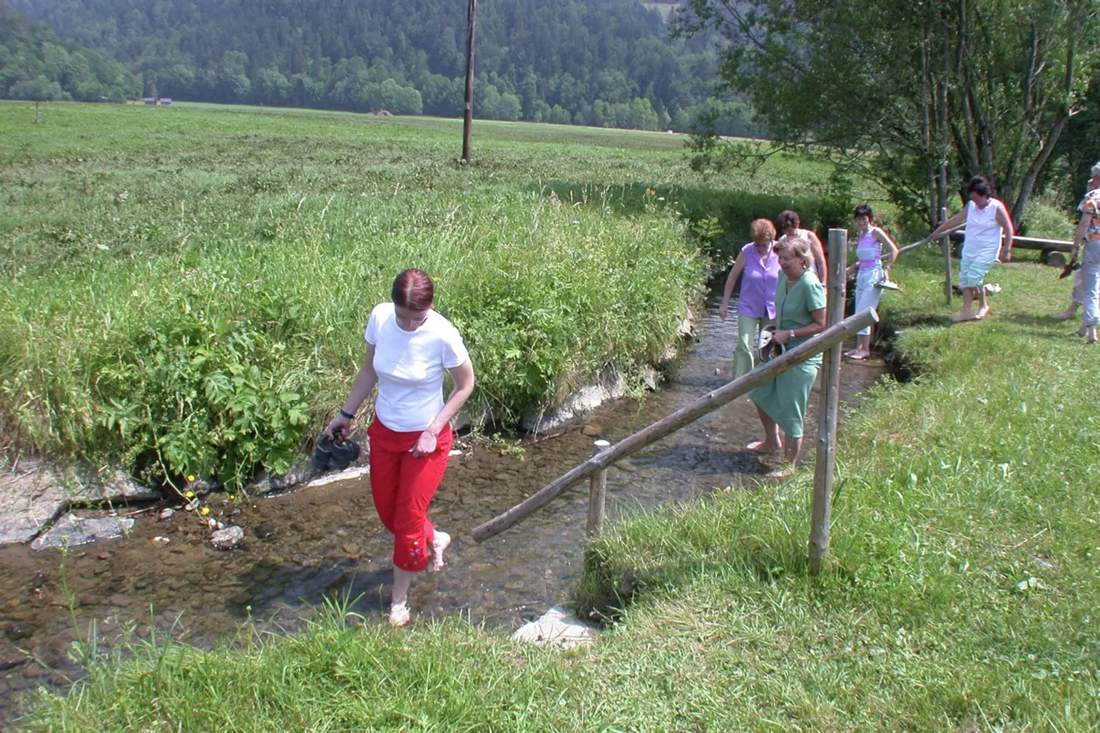 Barbara-Gebieden zomer 5km