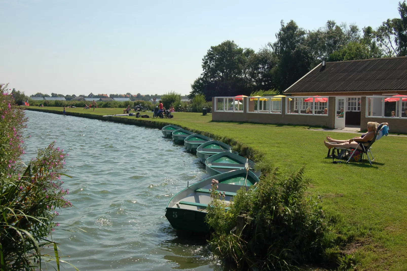 't Zeepaardje-Gebieden zomer 1km