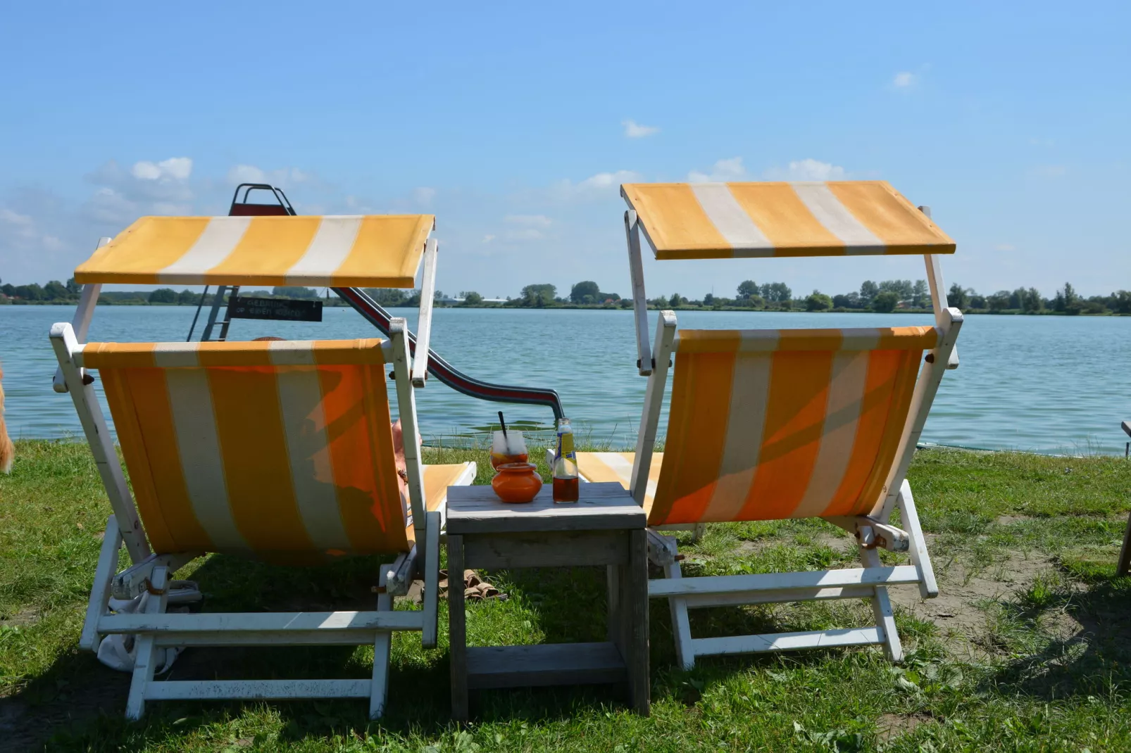 't Zeepaardje-Gebieden zomer 1km