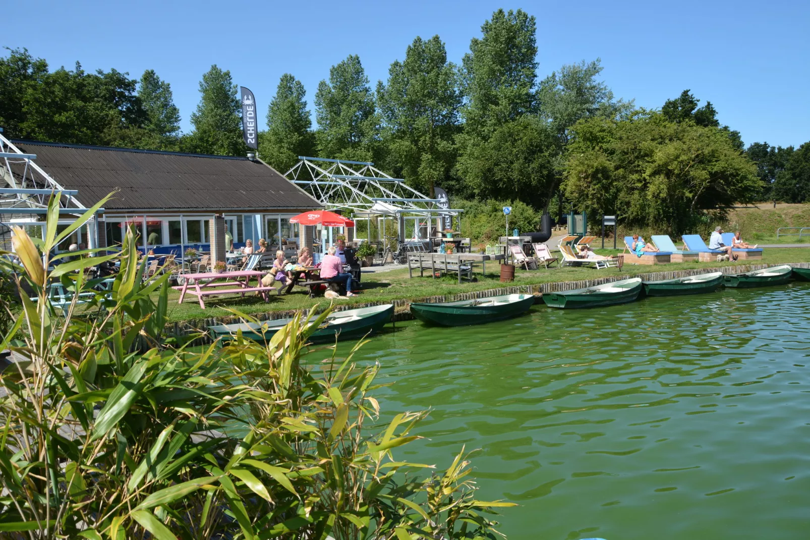 't Zeepaardje-Gebieden zomer 1km