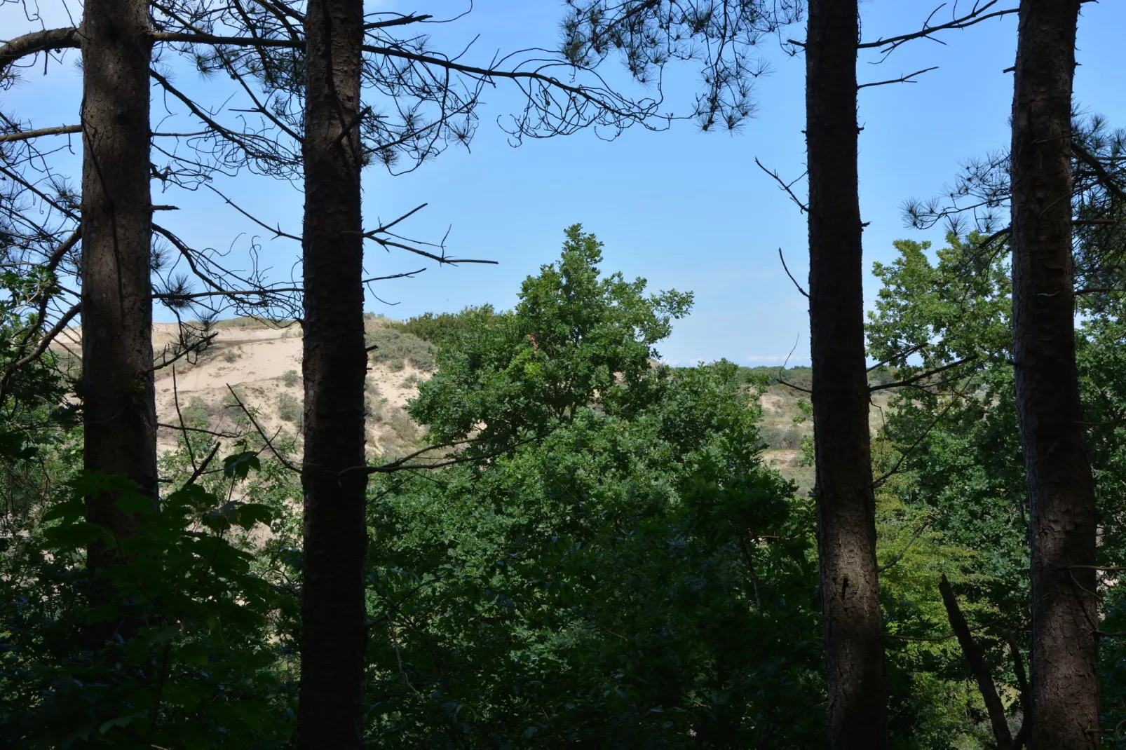 't Zeepaardje-Gebieden zomer 5km