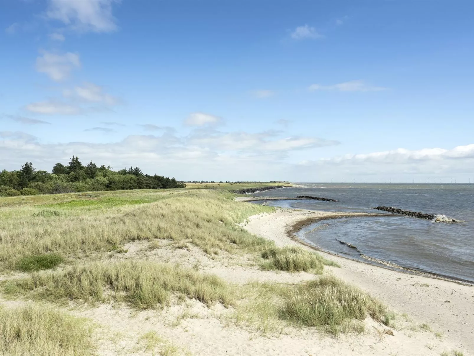"Lottje" - 300m from the sea-Buiten