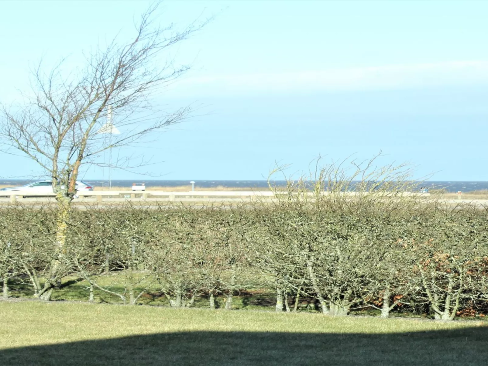 "Timotej" - 75m to the inlet in Western Jutland-Buiten