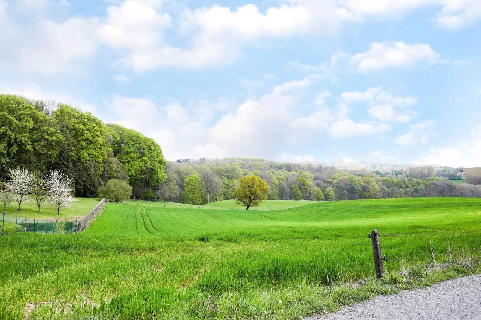 De Koppenberg-Gebieden zomer 1km