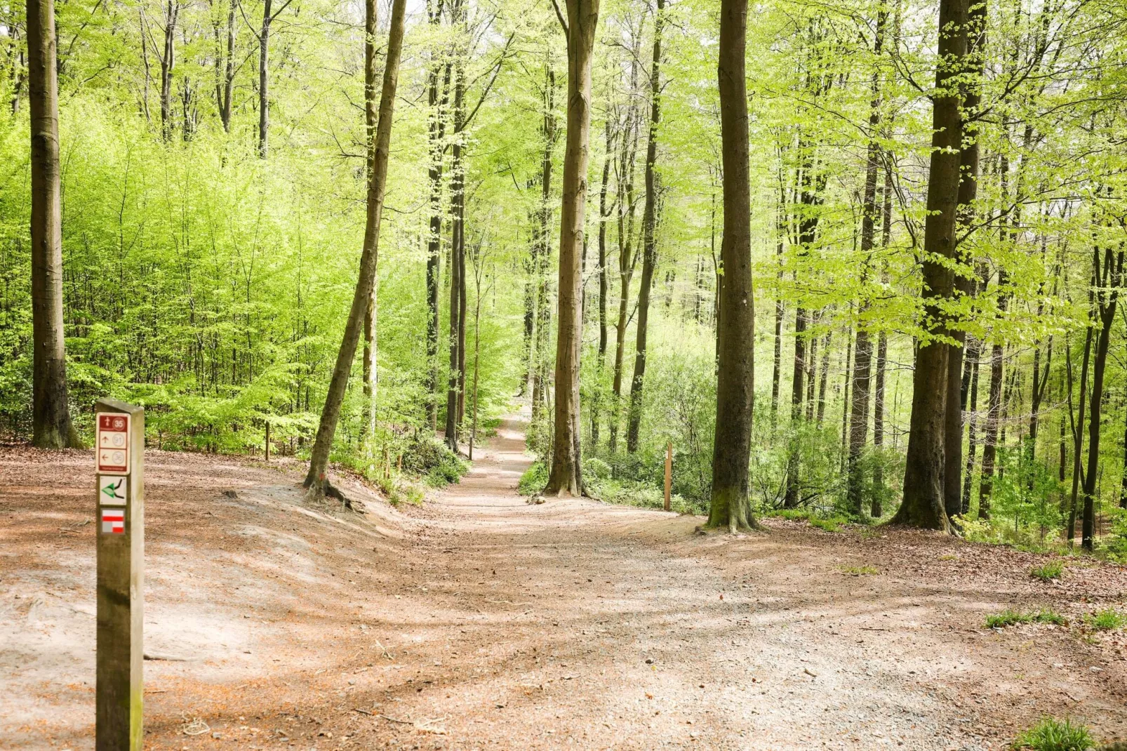 De Koppenberg-Gebieden zomer 5km