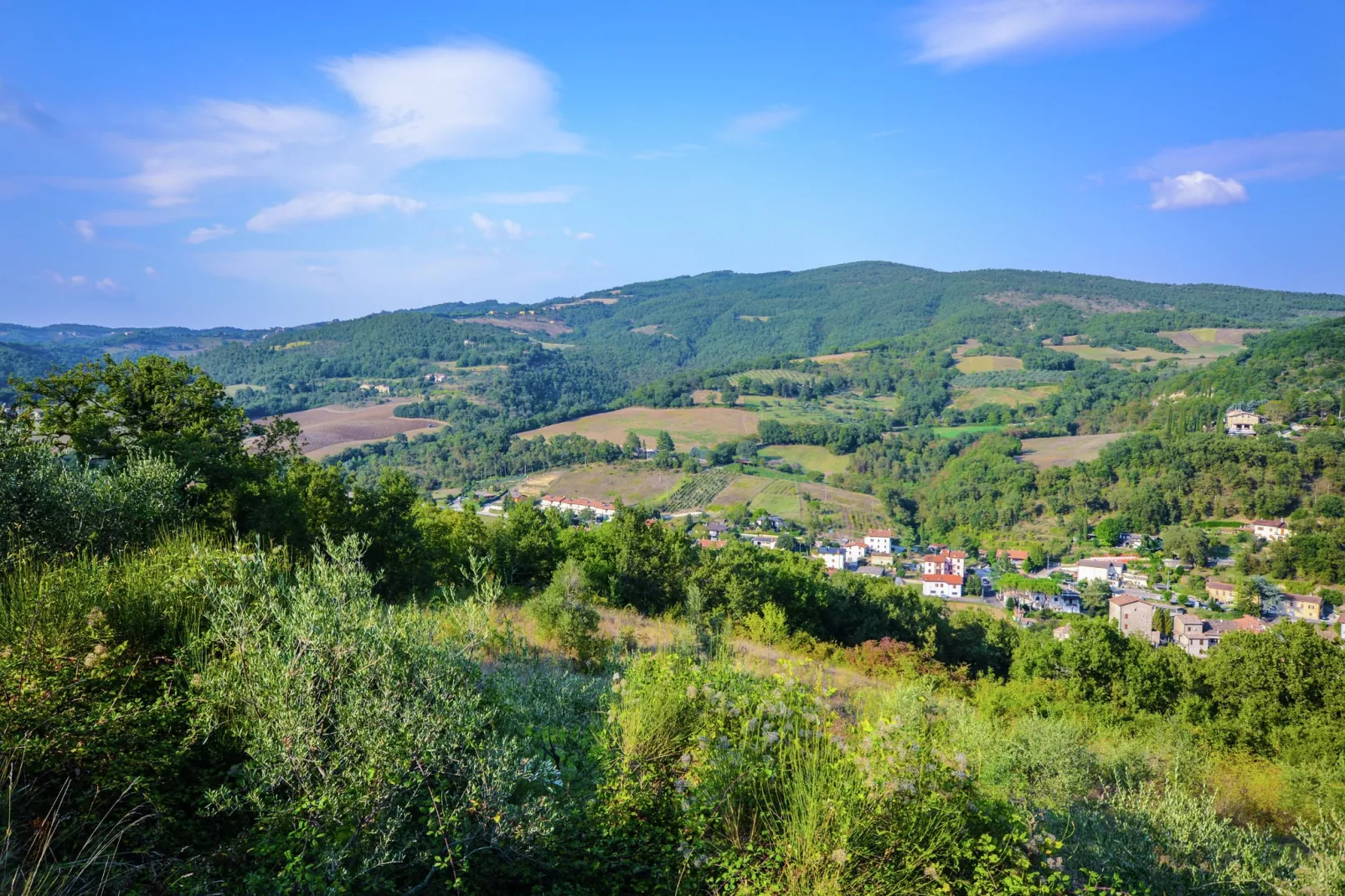 Giglio-Gebieden zomer 1km