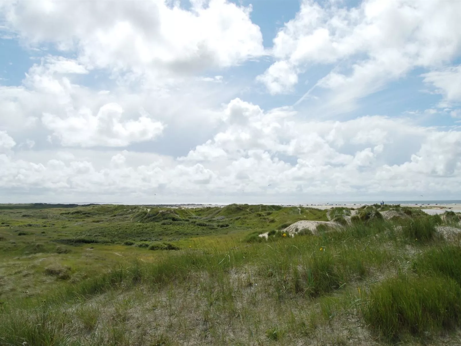 "Kalf" - 400m from the sea-Binnen