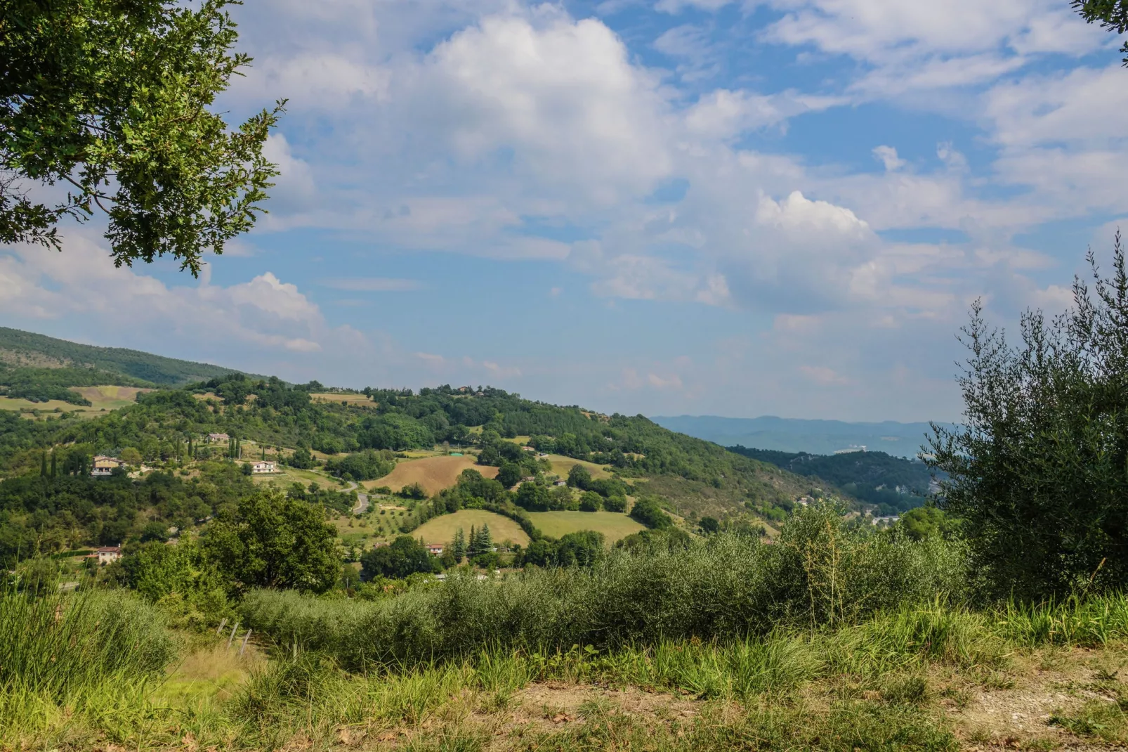 Granaio-Uitzicht zomer