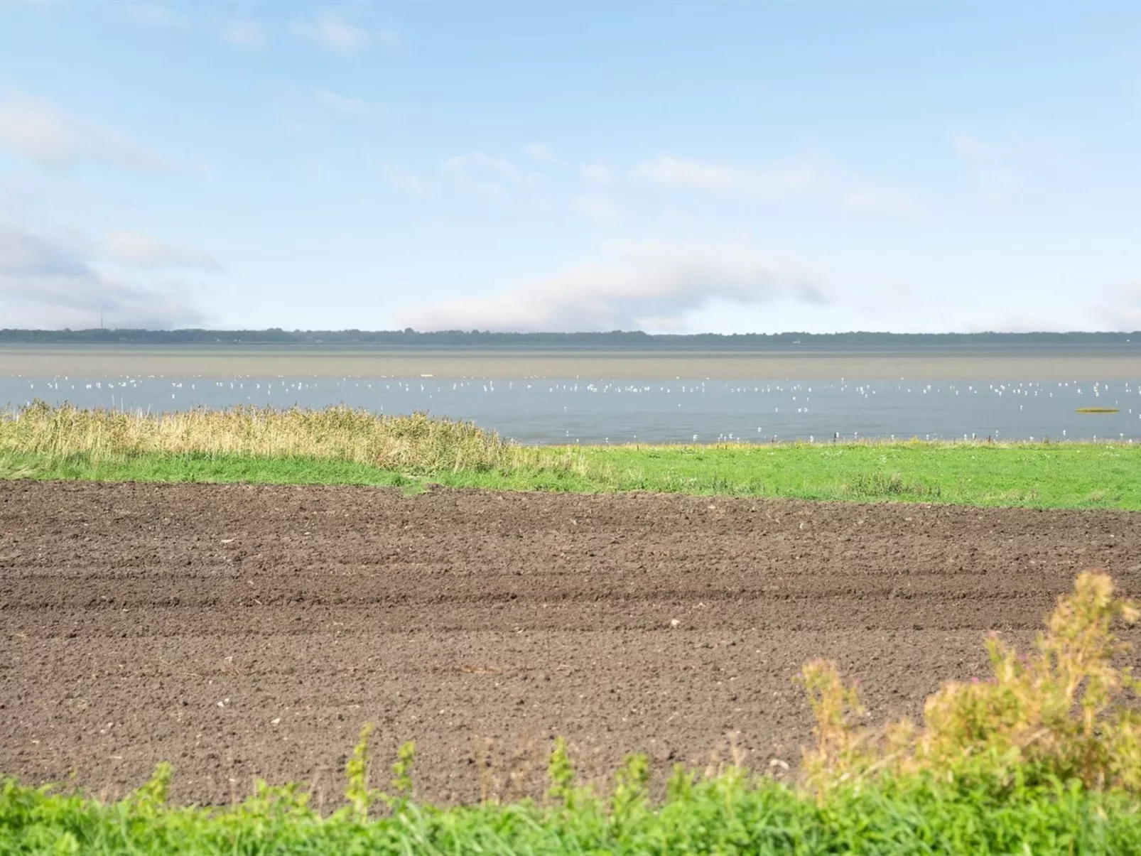 "Kielo" - 10km from the sea-Buiten