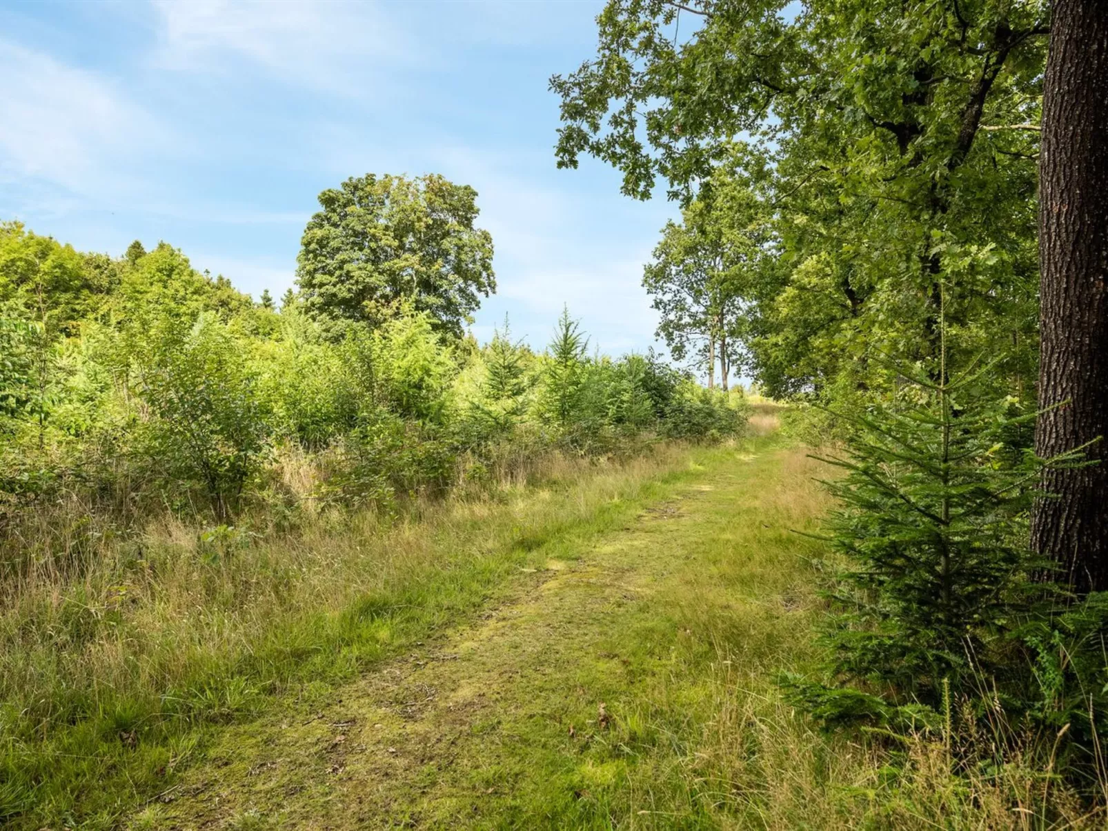 "Rasmus" - 29km from the sea-Buiten