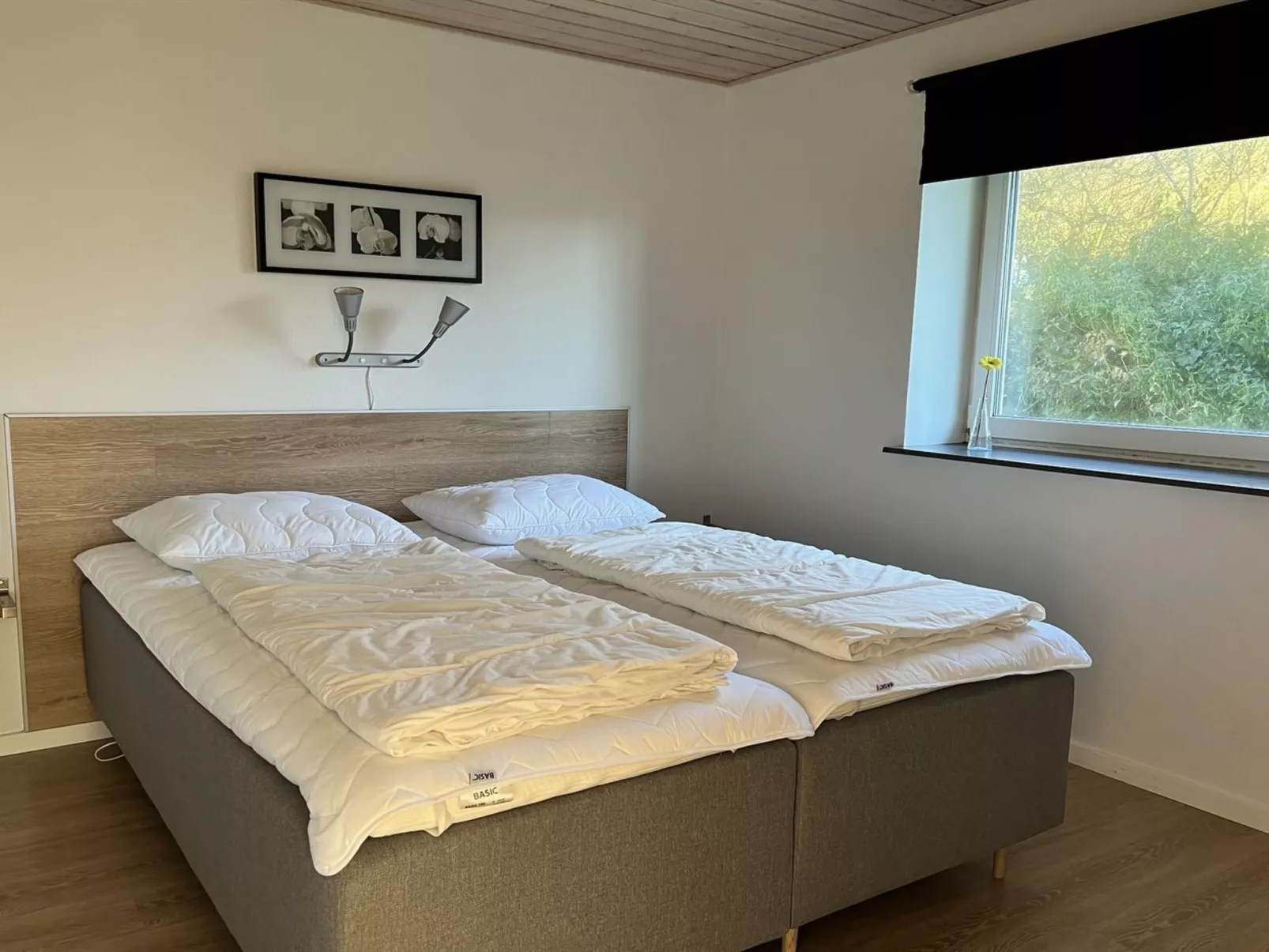 "Stefania" - 700m from the sea-Buiten