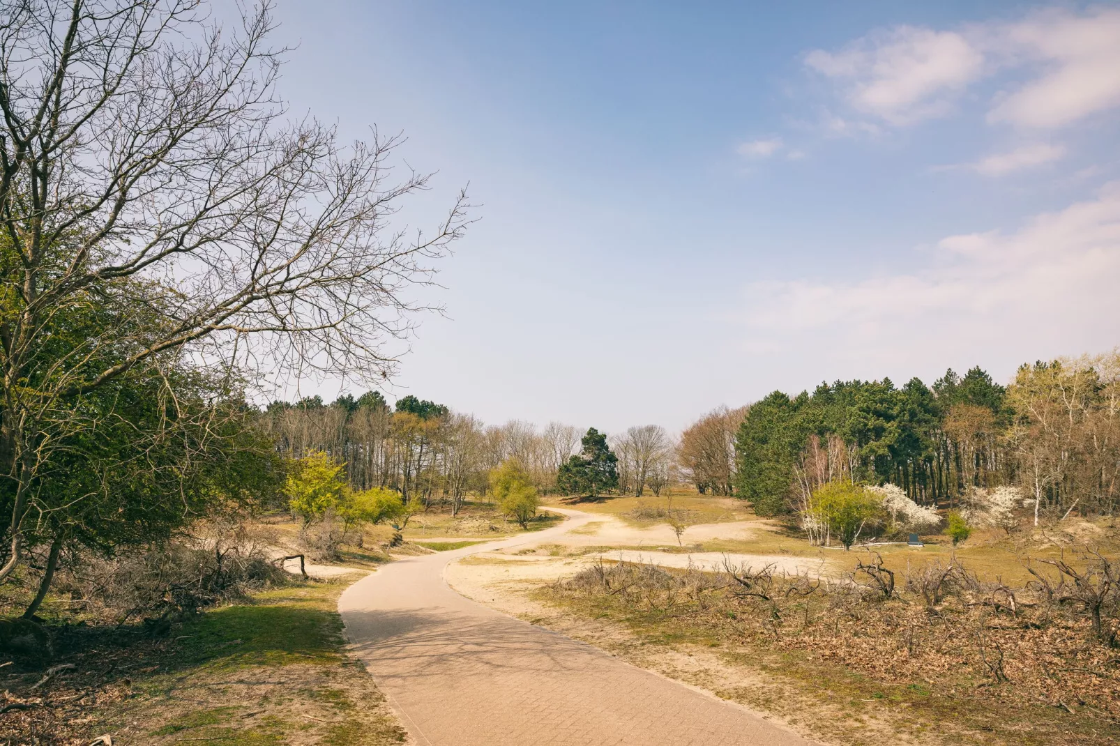 Duinresort Dunimar 1-Gebieden zomer 5km