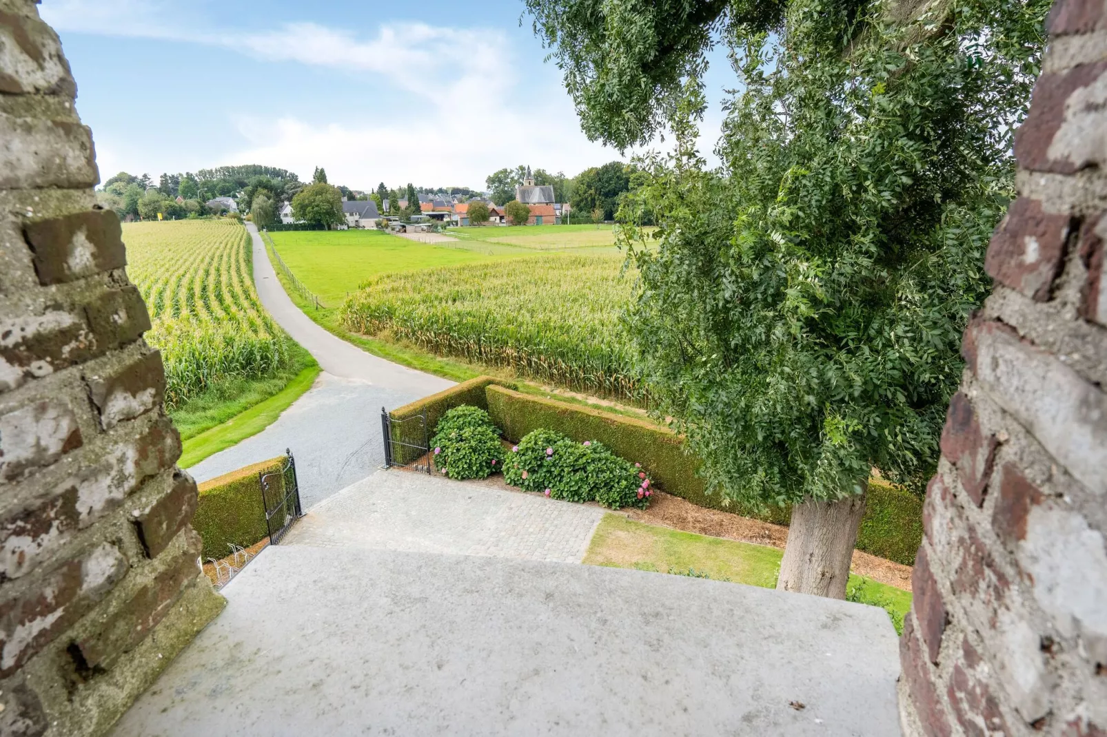 Nieuwpoortmolen-Uitzicht zomer