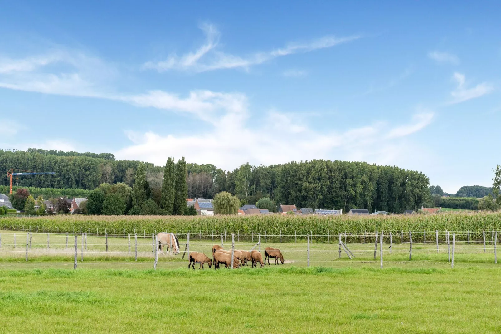 Nieuwpoortmolen-Gebieden zomer 5km