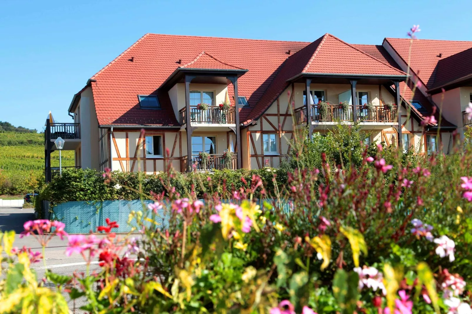 Le Domaine des Rois 1-Buitenkant zomer