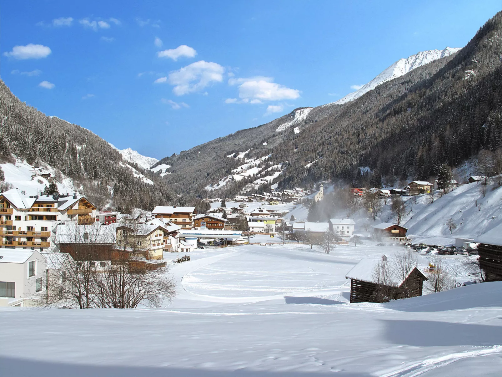 Alpenschnucke Home-Omgeving