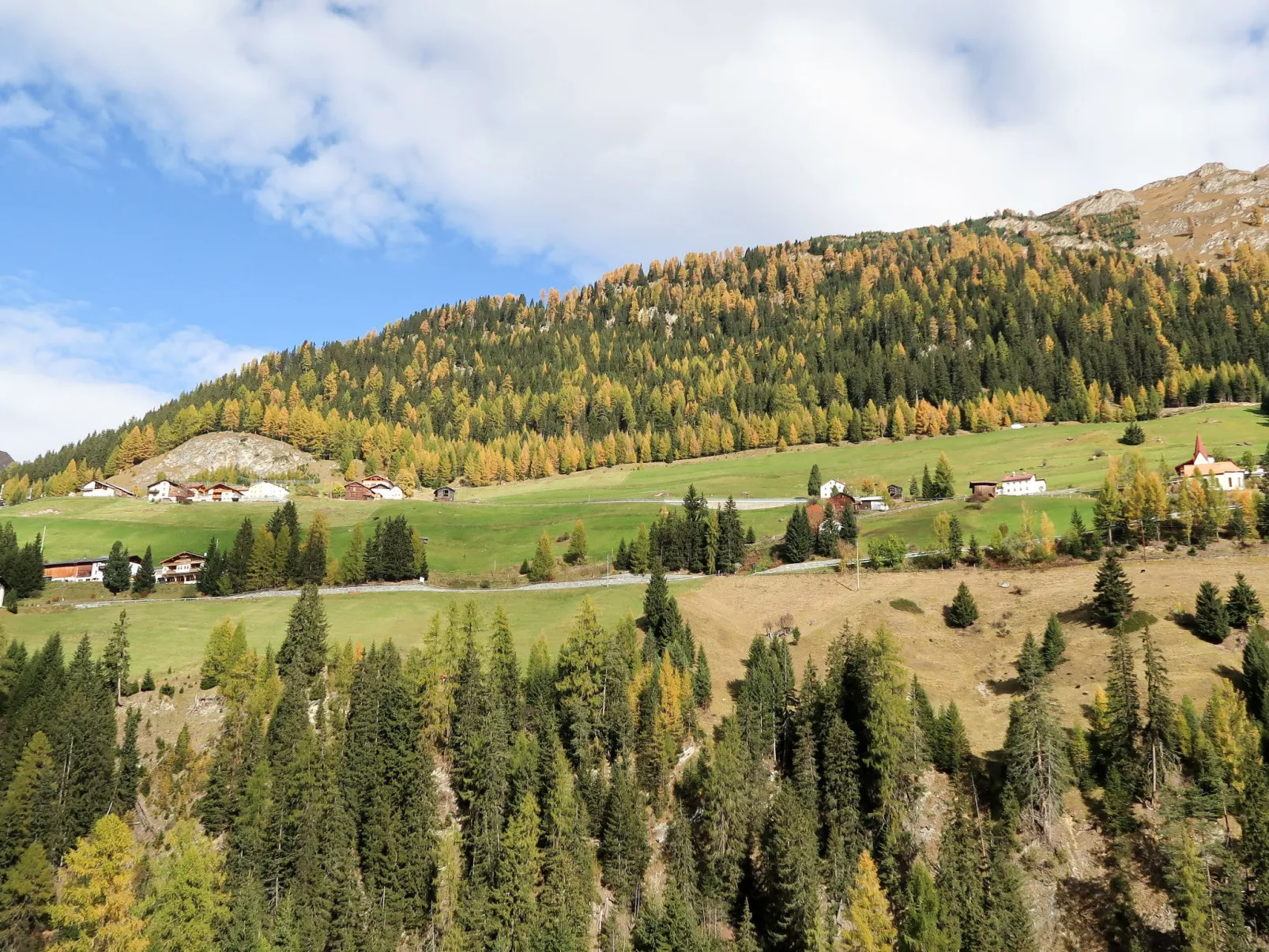Bergfeld-Omgeving