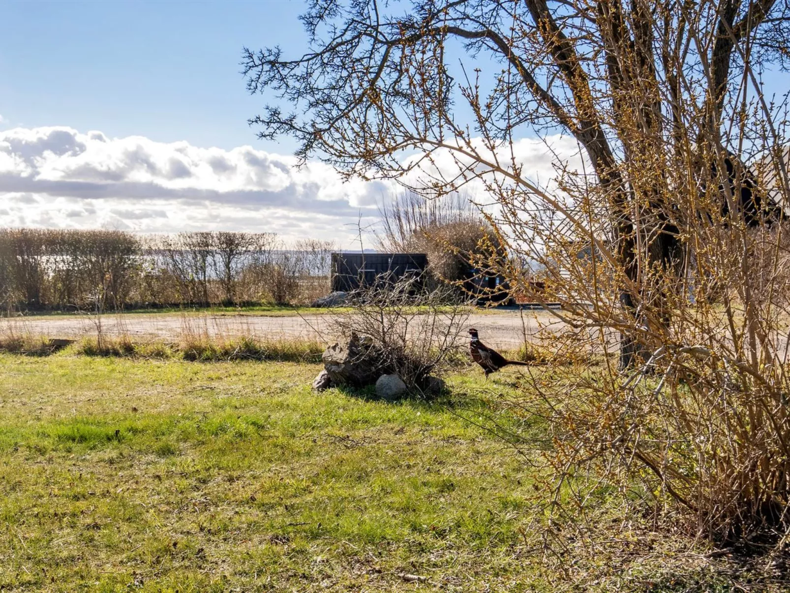 "Rico" - 200m from the sea-Buiten