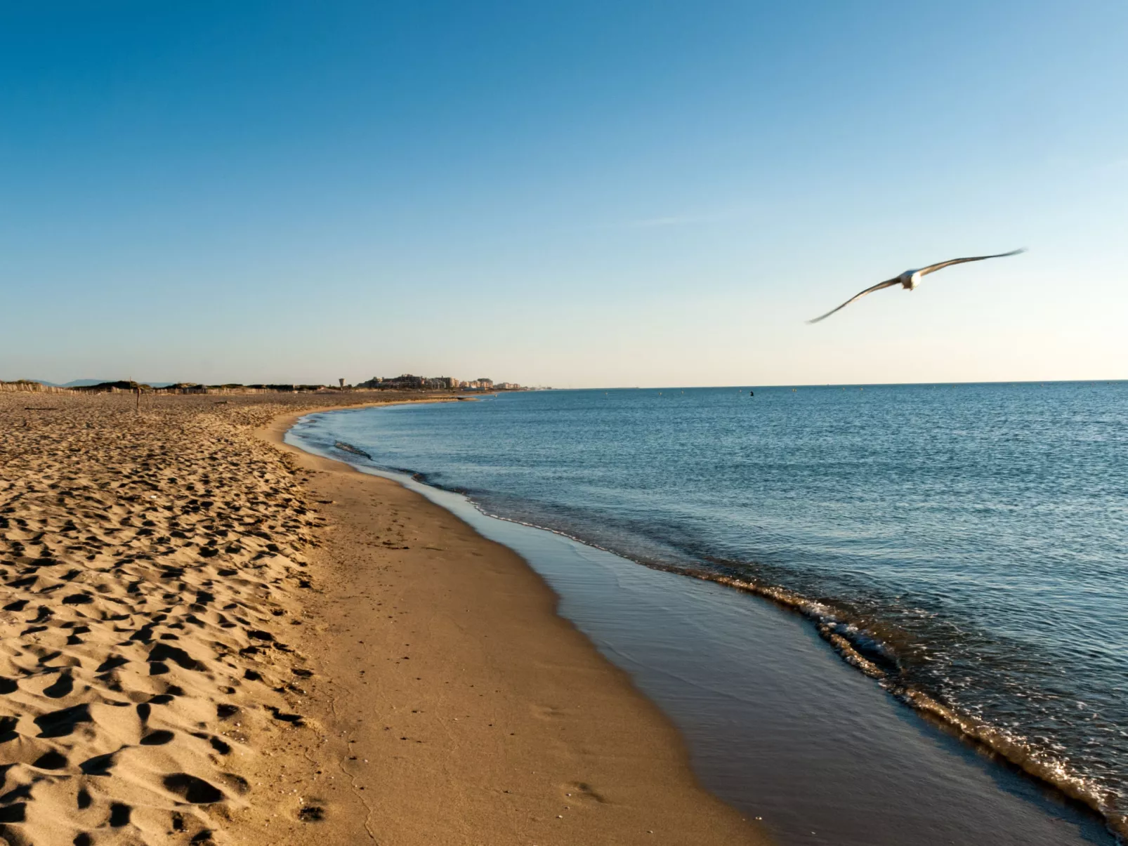 Les Marines de Port Canet-Omgeving