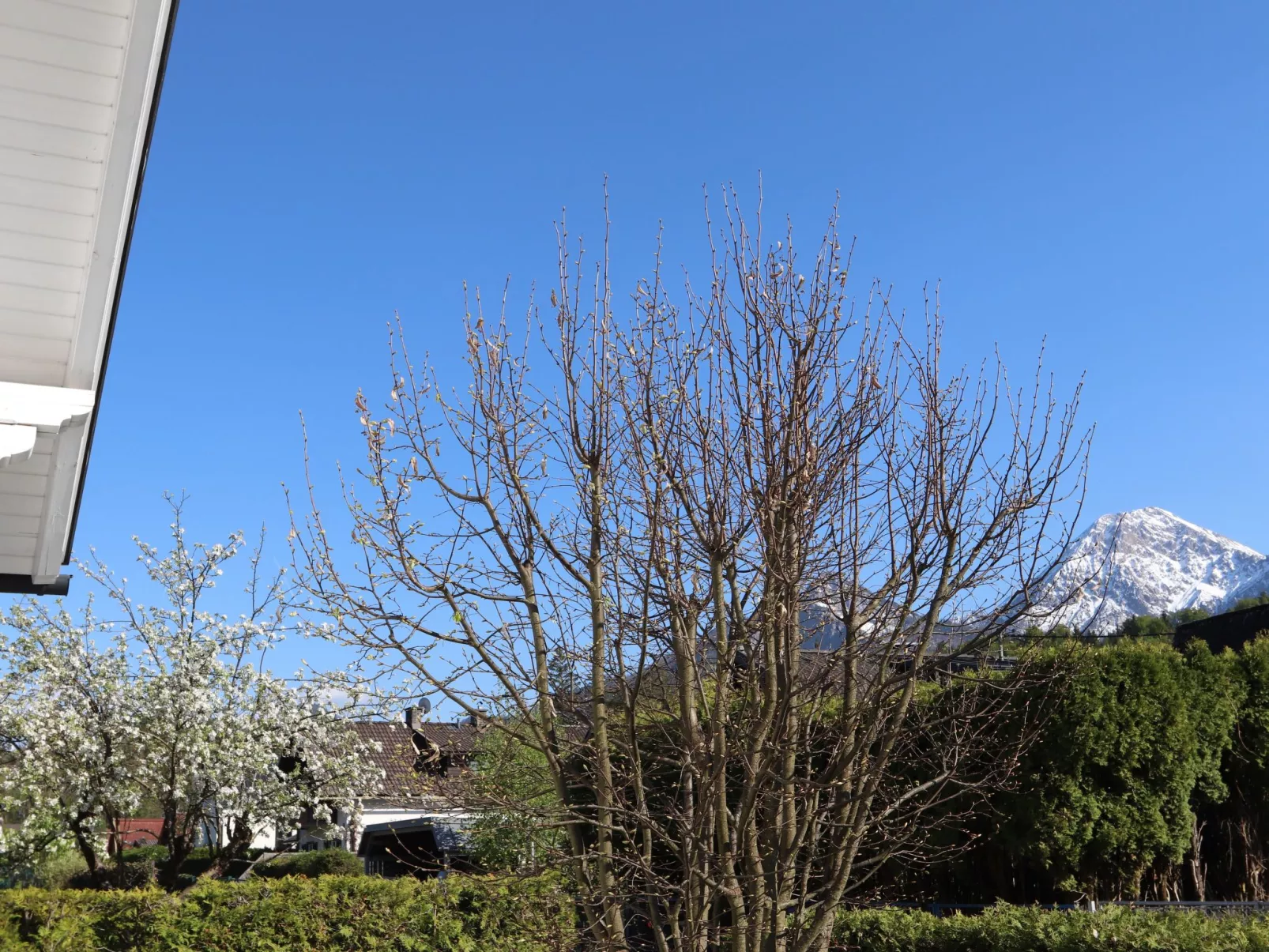 Seehaus Blue Faak-Buiten