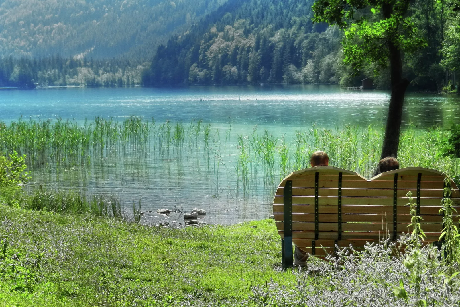 Erzberg Alpin Resort  9-Gebieden zomer 5km