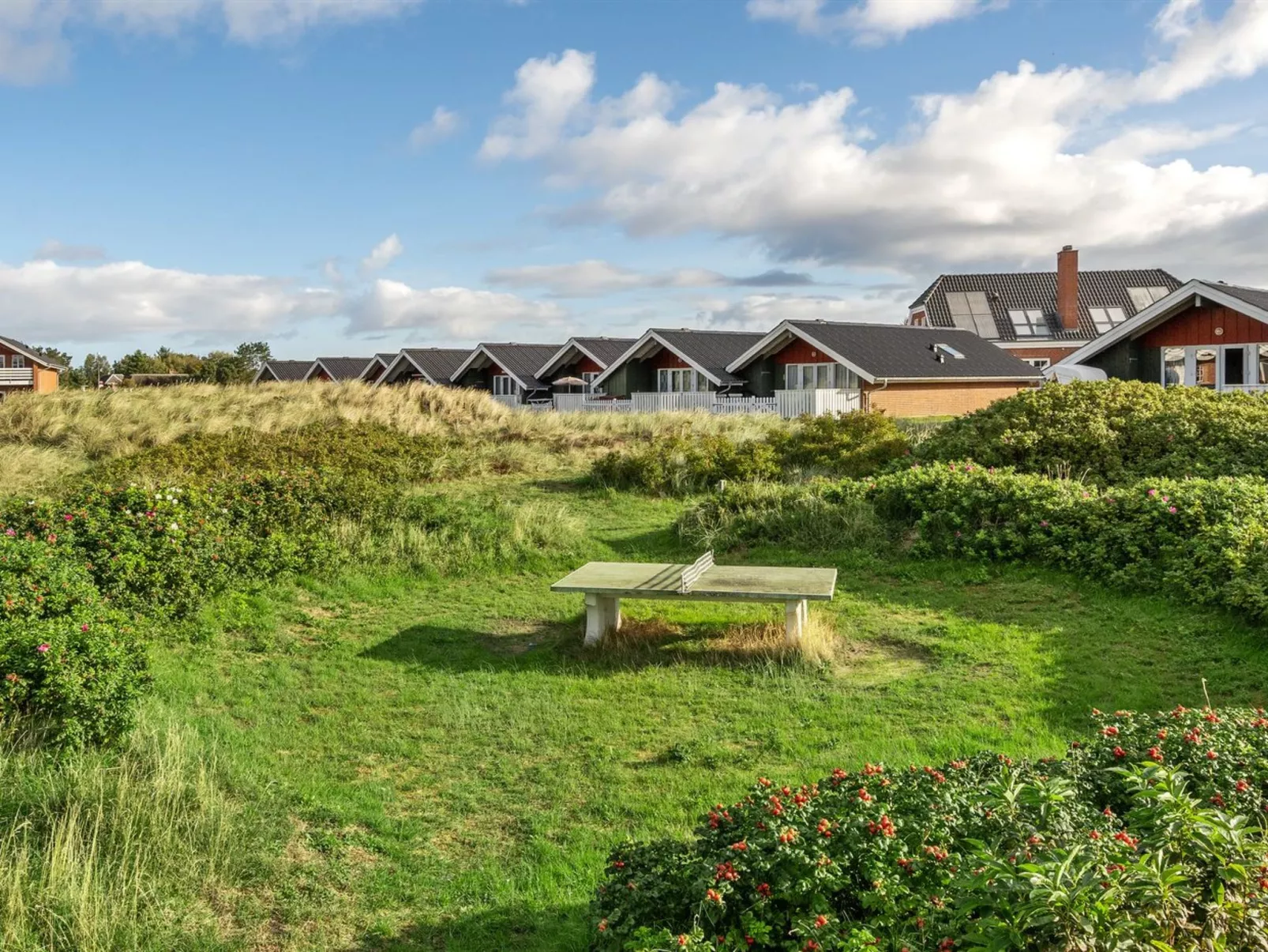 "Gudbrand" - 300m from the sea-Buiten