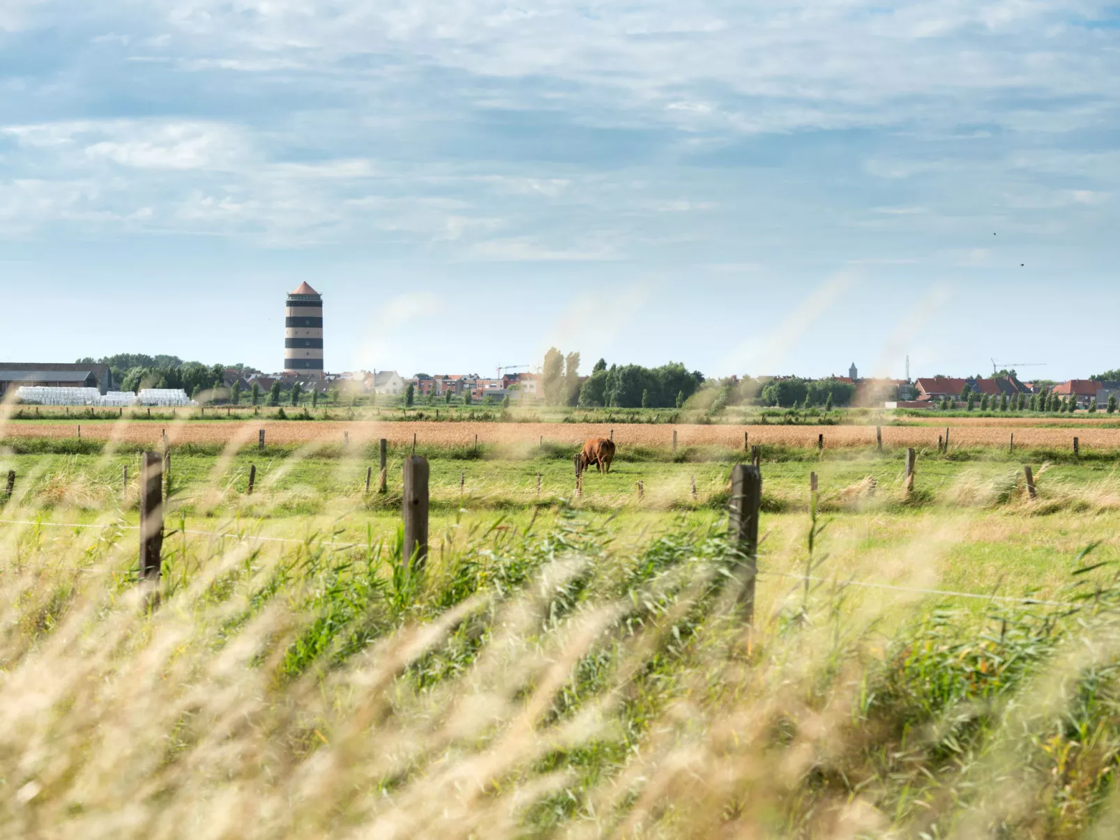 Blutsyde Promenade-Buiten