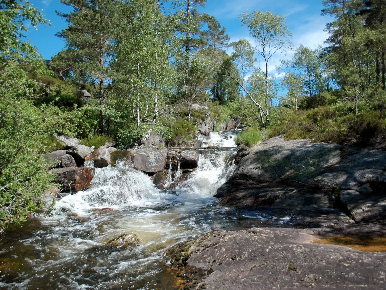 Førevanns Hytta-Buiten
