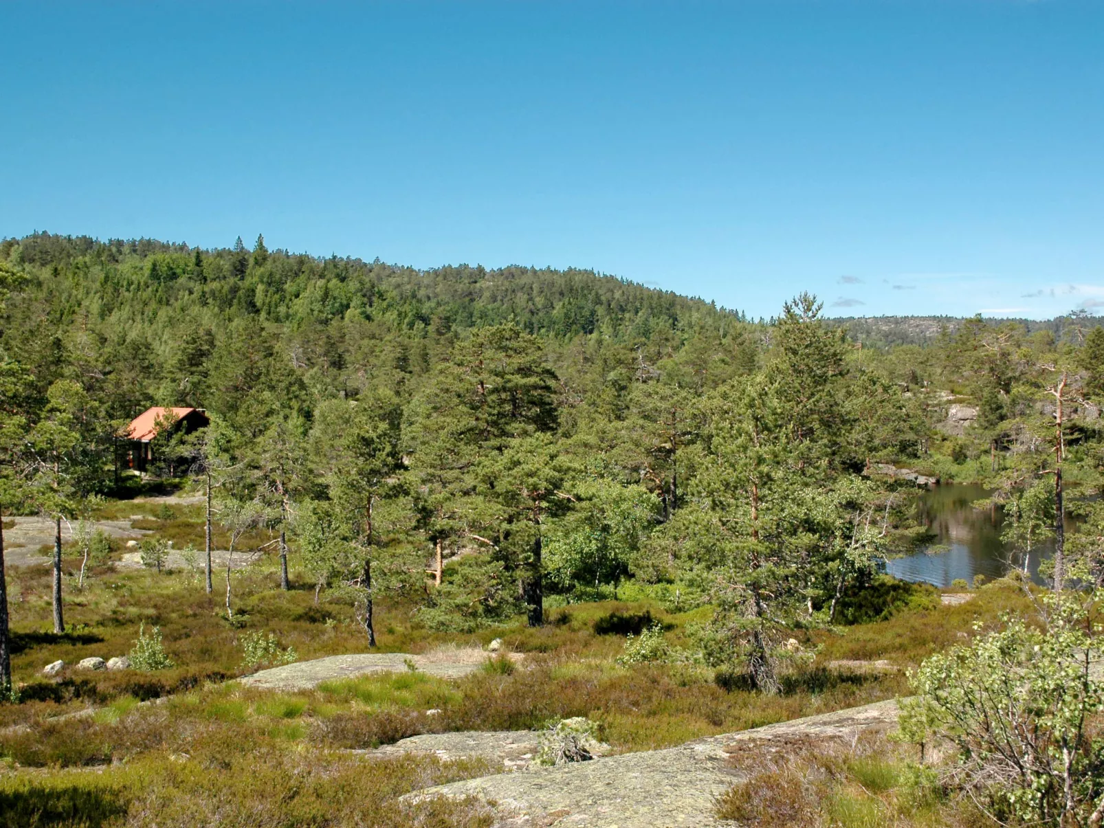 Førevanns Hytta-Buiten
