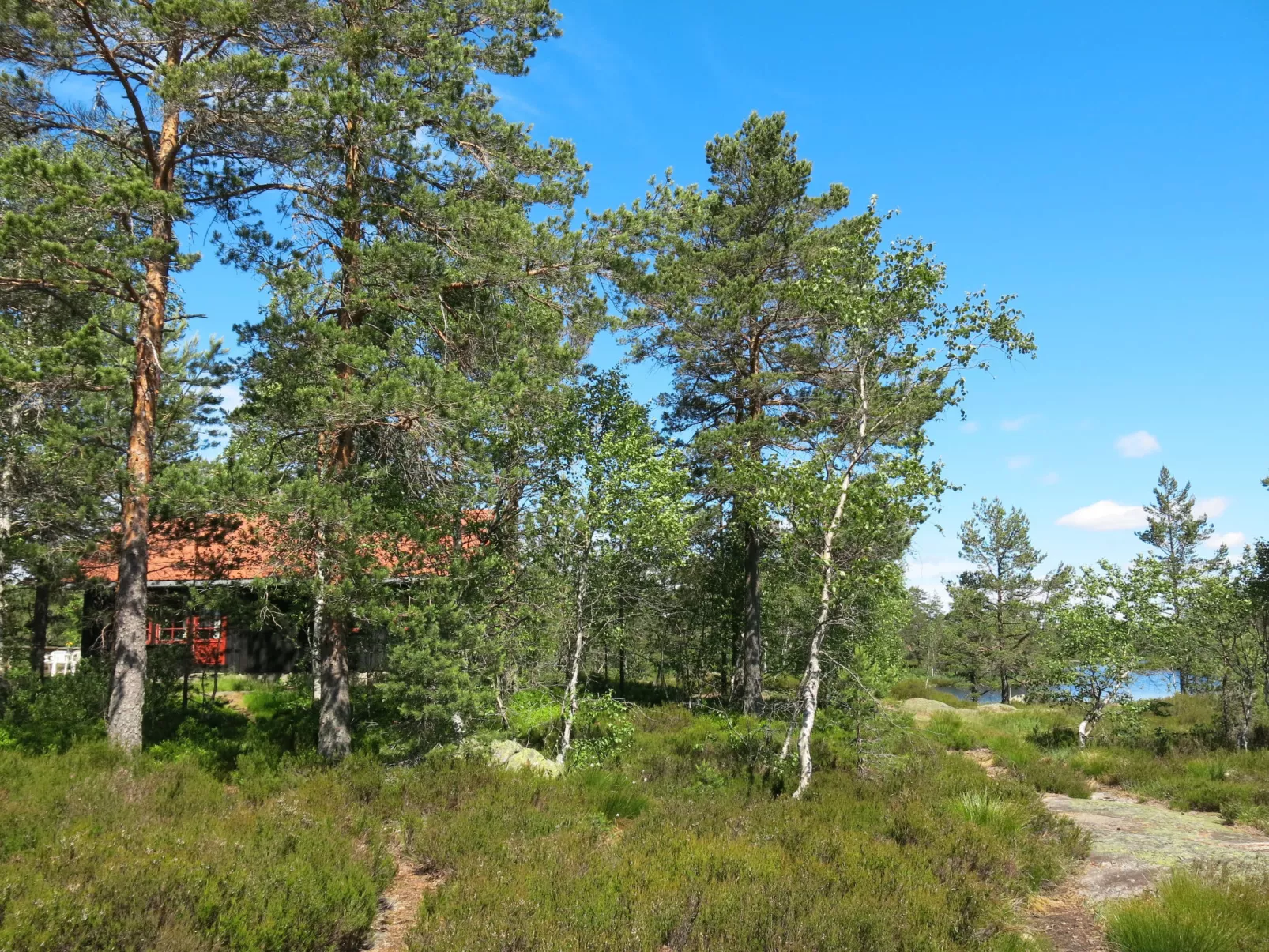 Førevanns Hytta-Buiten