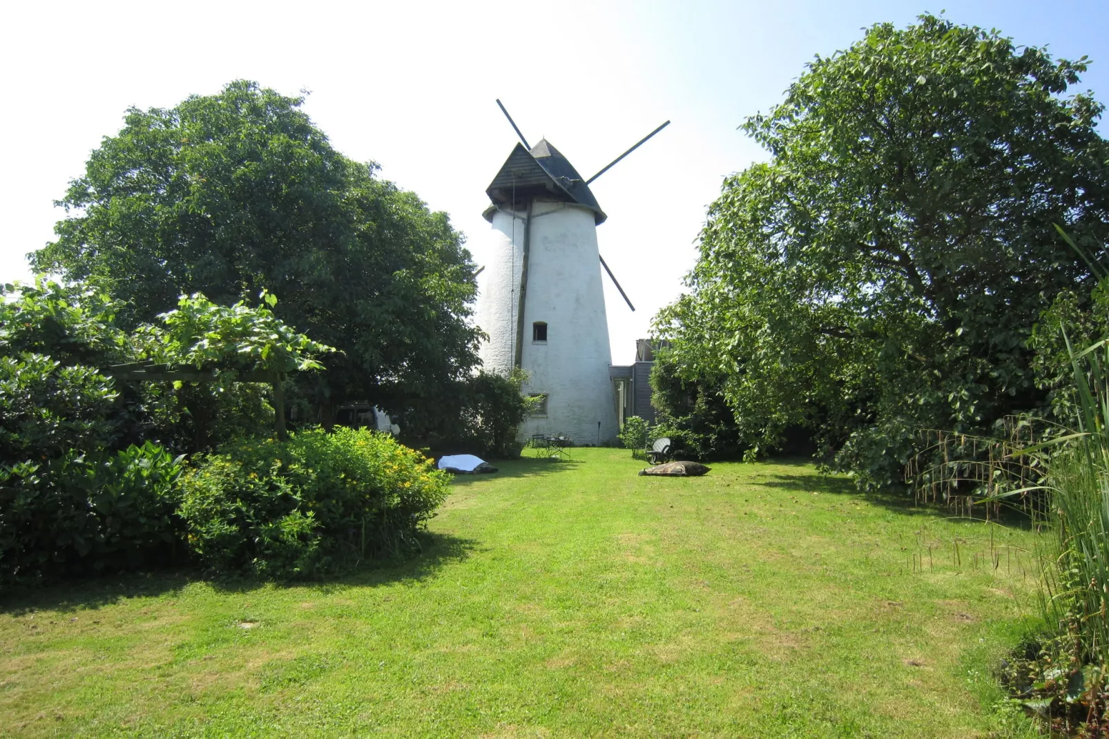 De Reus van Horebeke