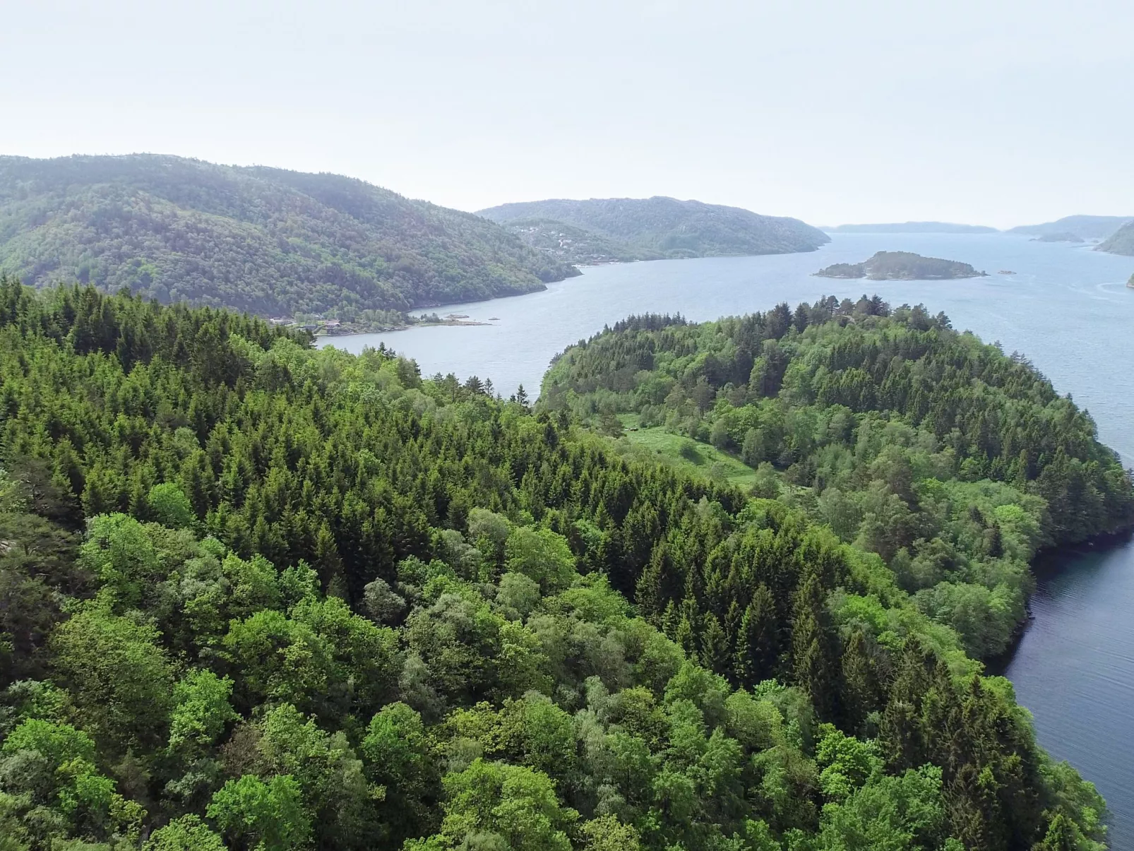 Naudøyna-Buiten