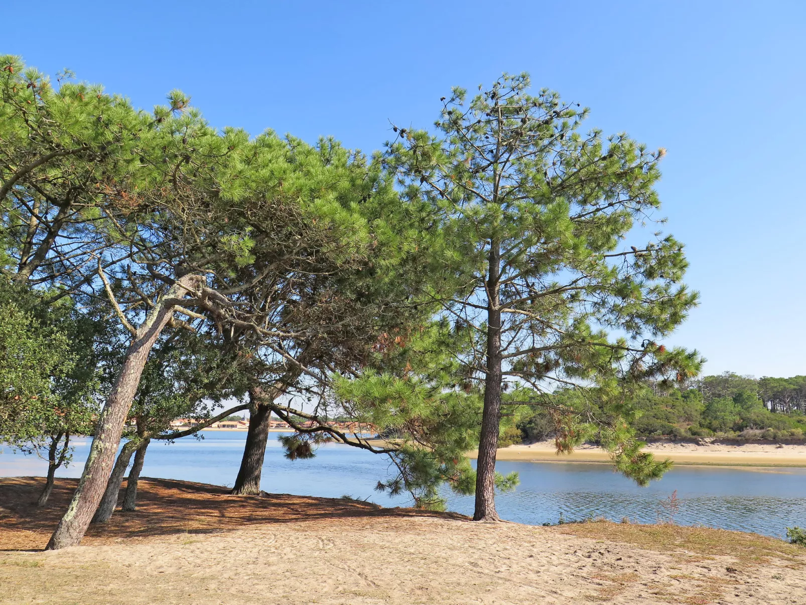 Résidence Lagocéan (VIB301)-Omgeving