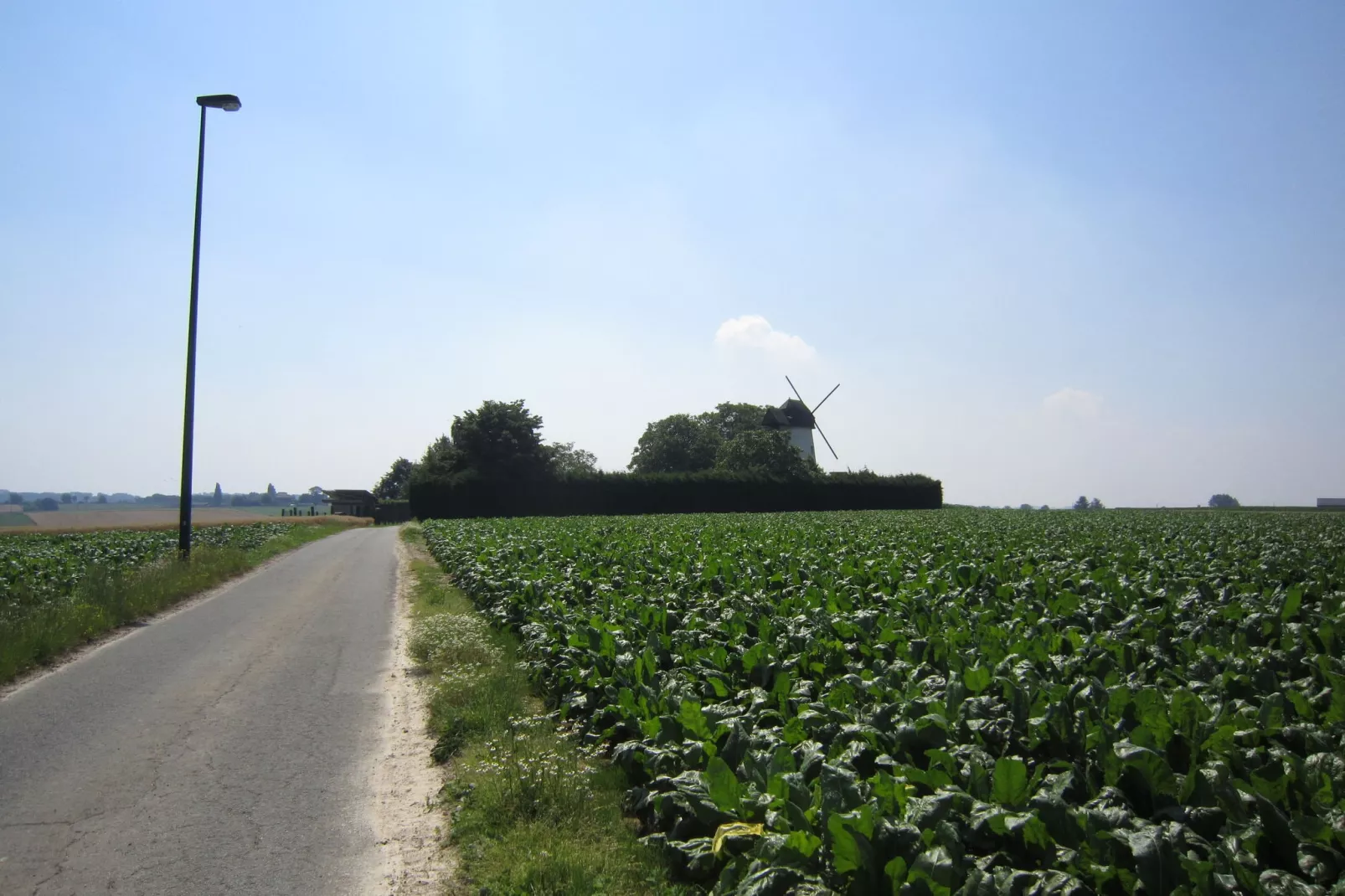 De Reus van Horebeke-Uitzicht zomer