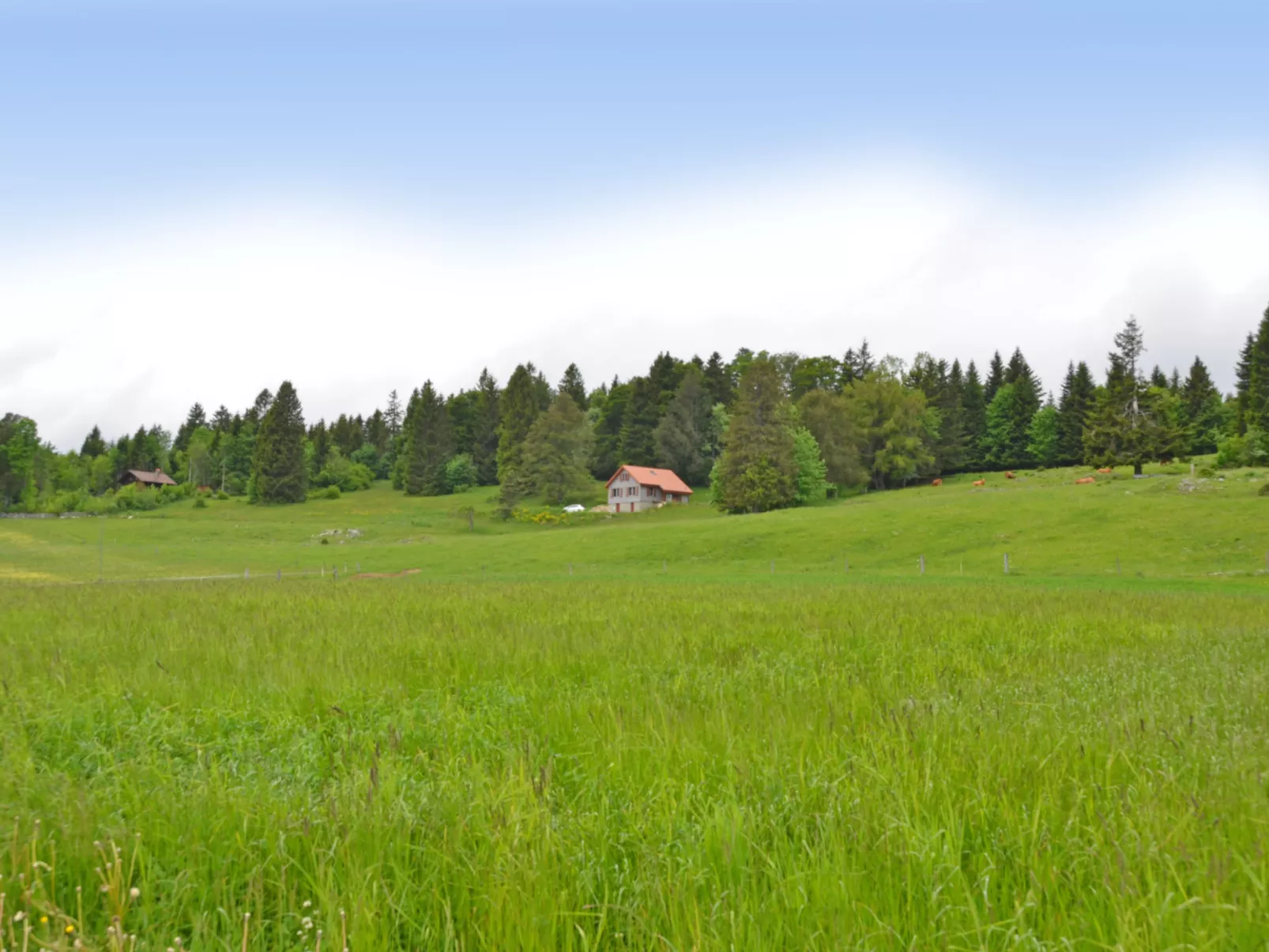 Chalet la Frêtaz-Buiten