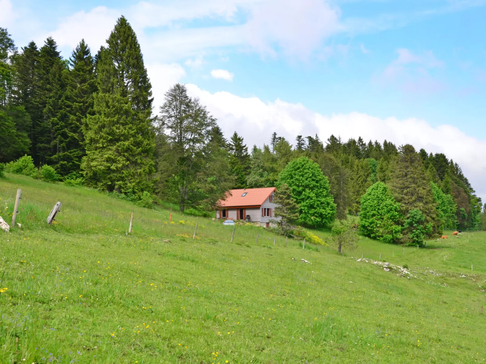 Chalet la Frêtaz-Buiten