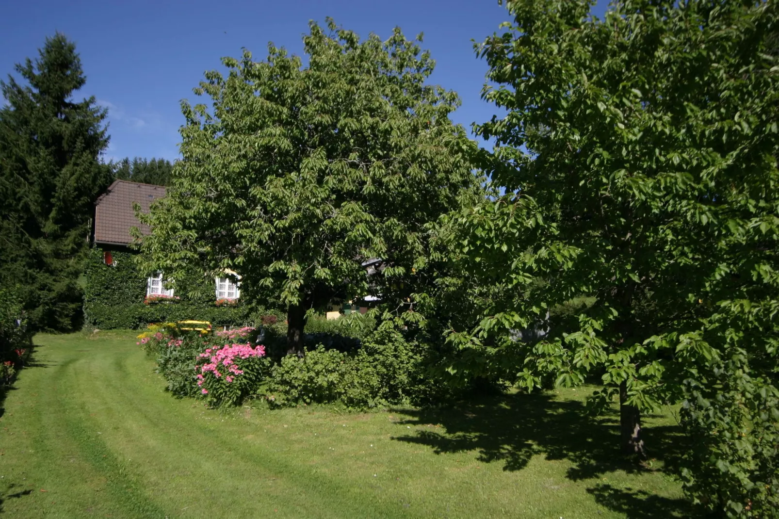 Ivy House Scheifling-Tuinen zomer
