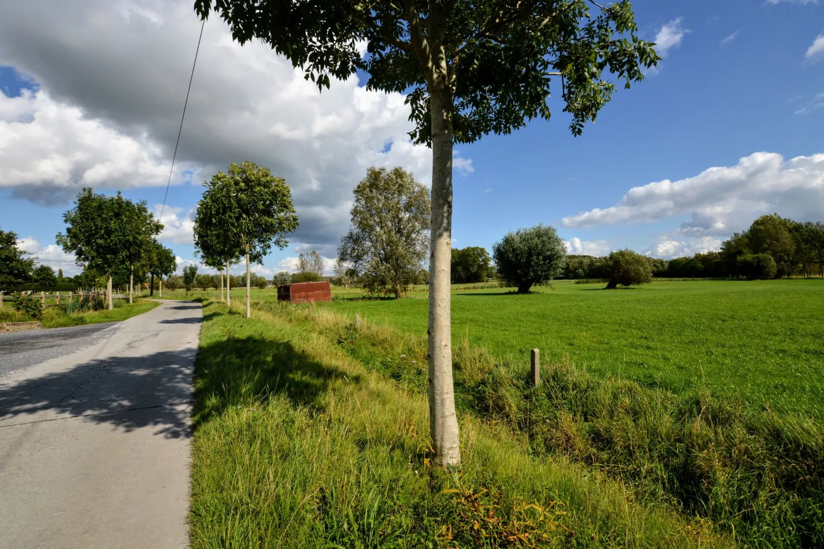 Zingem-Gebieden zomer 1km