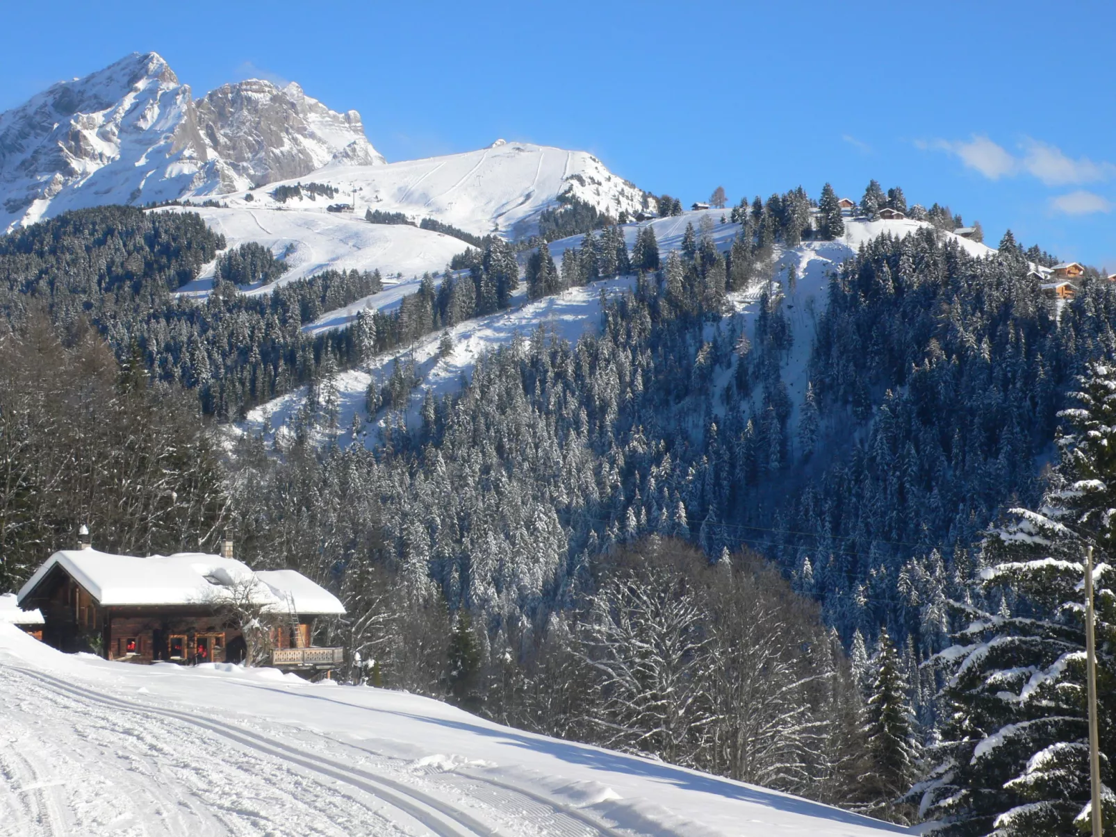 Aiguilles Dorées I/2-Omgeving