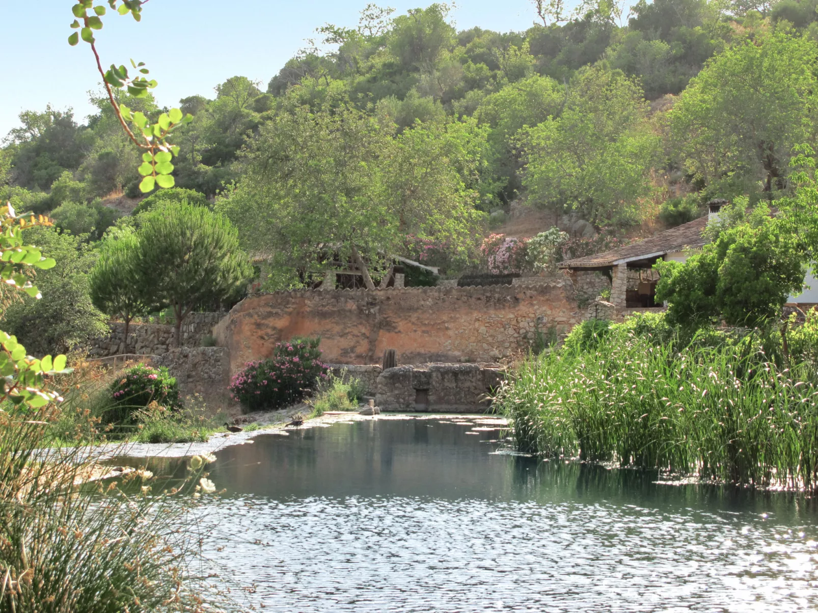 Monte Novo-Omgeving