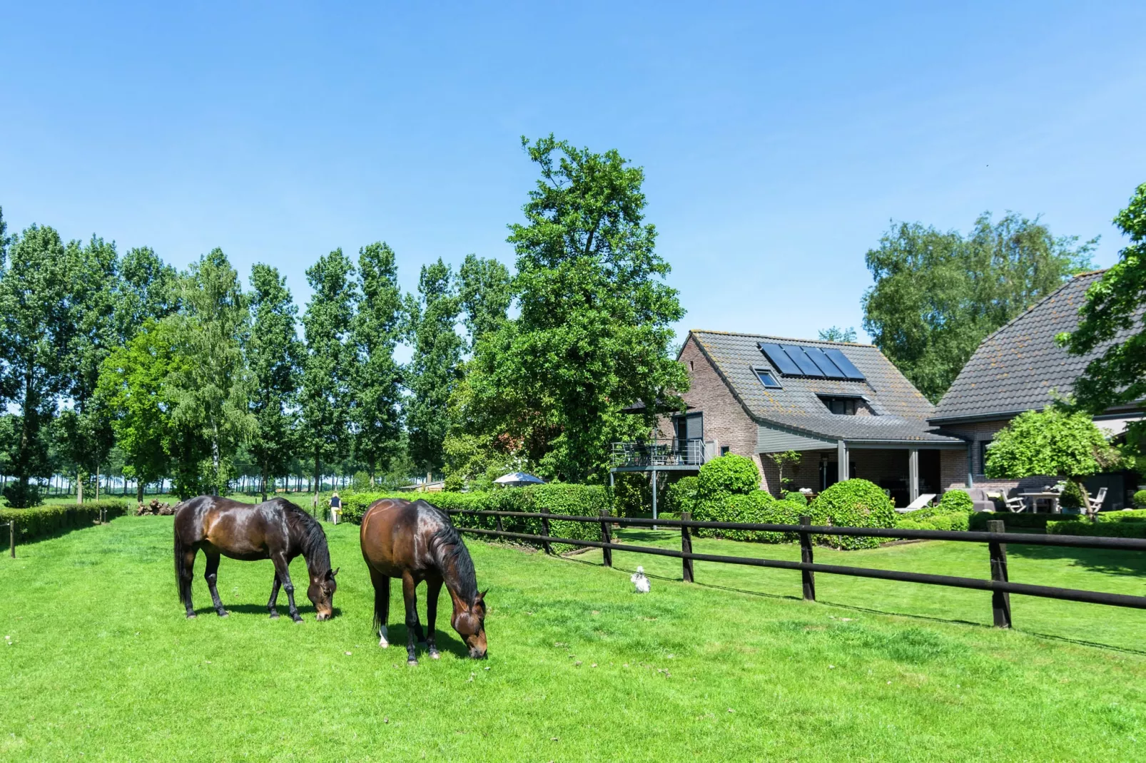 't Moerhuisje-Buitenkant zomer