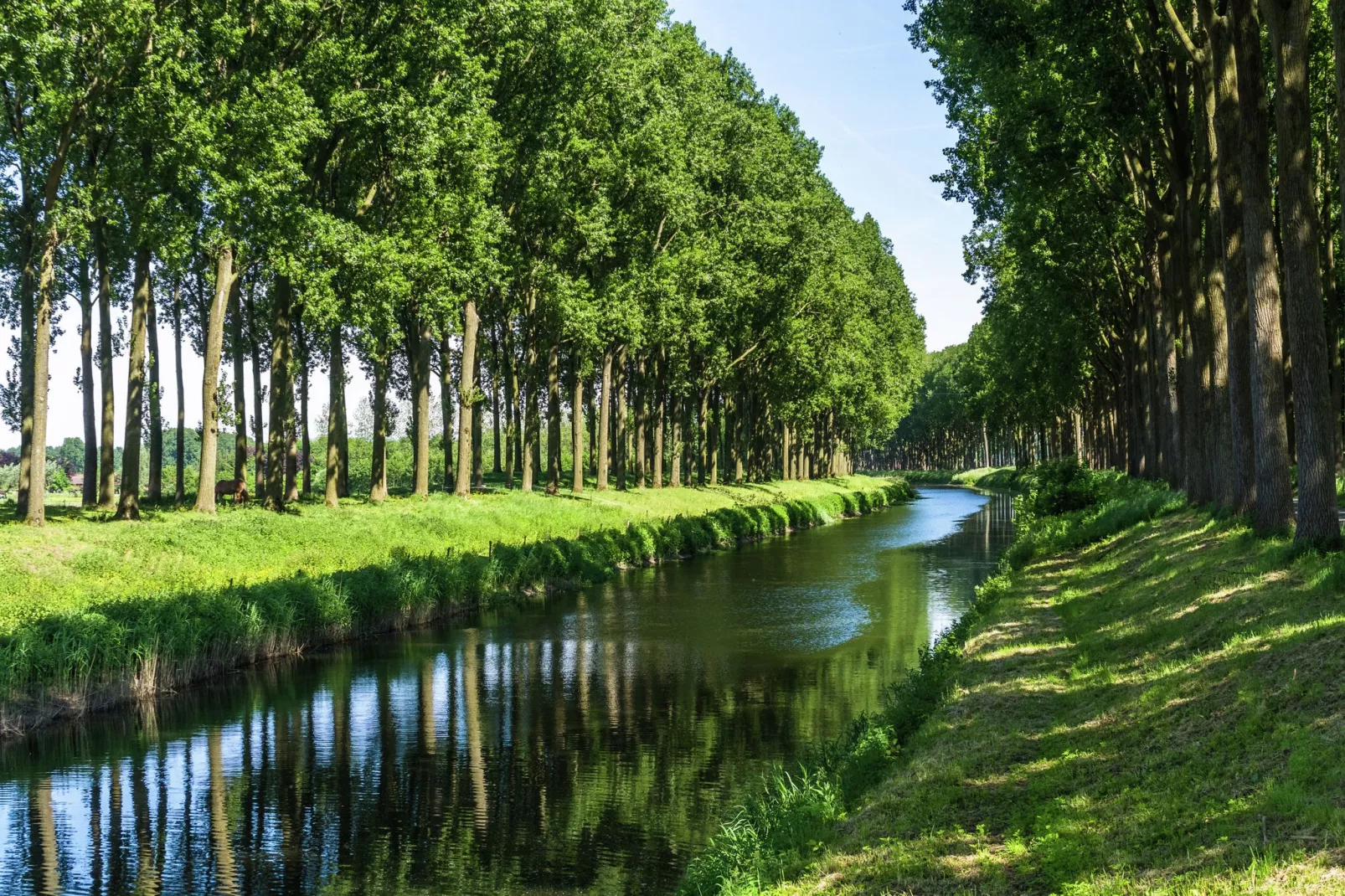 't Moerhuisje-Gebieden zomer 1km