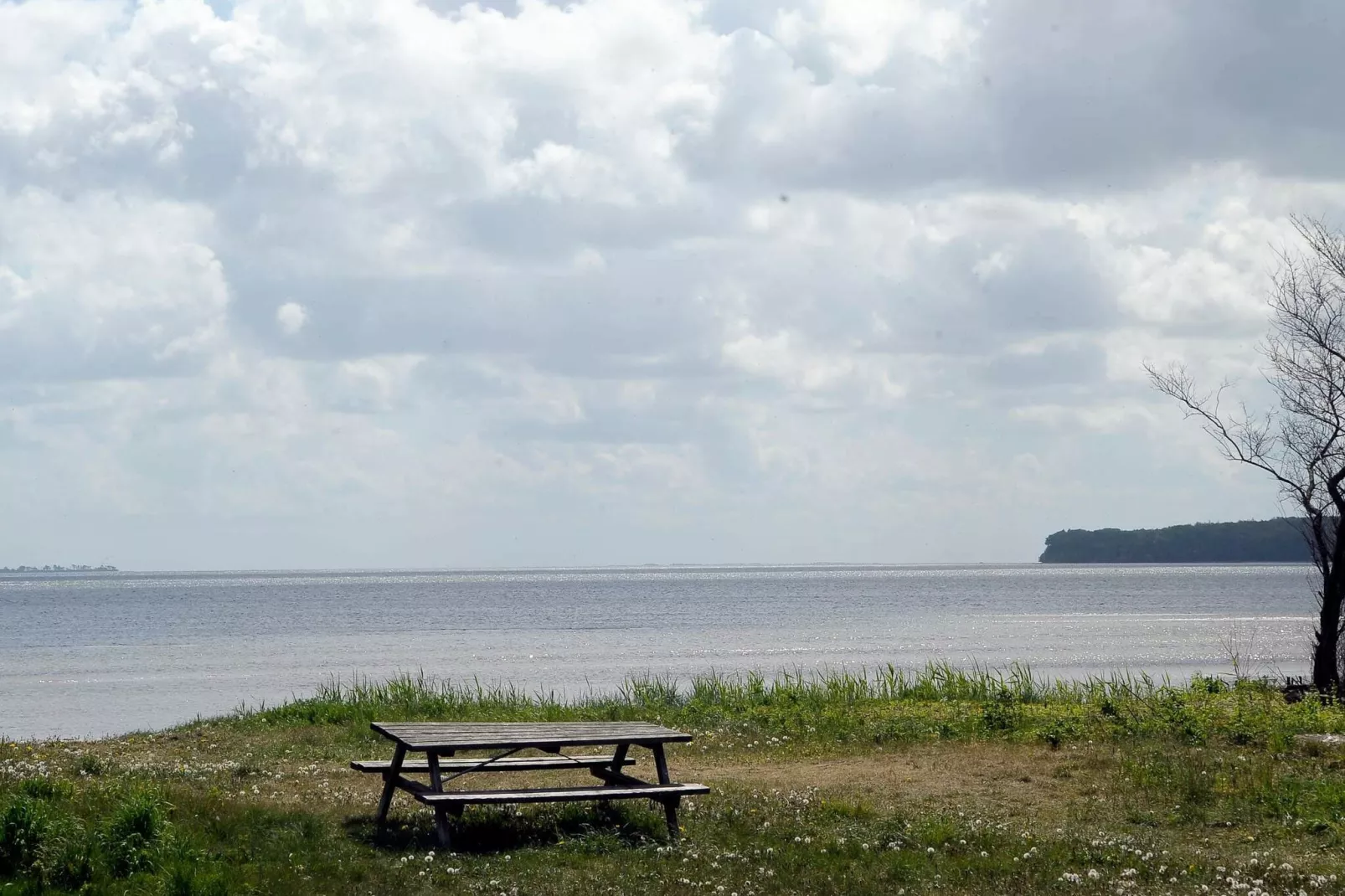 Ruim vakantiehuis in Jutland vlak bij de zee