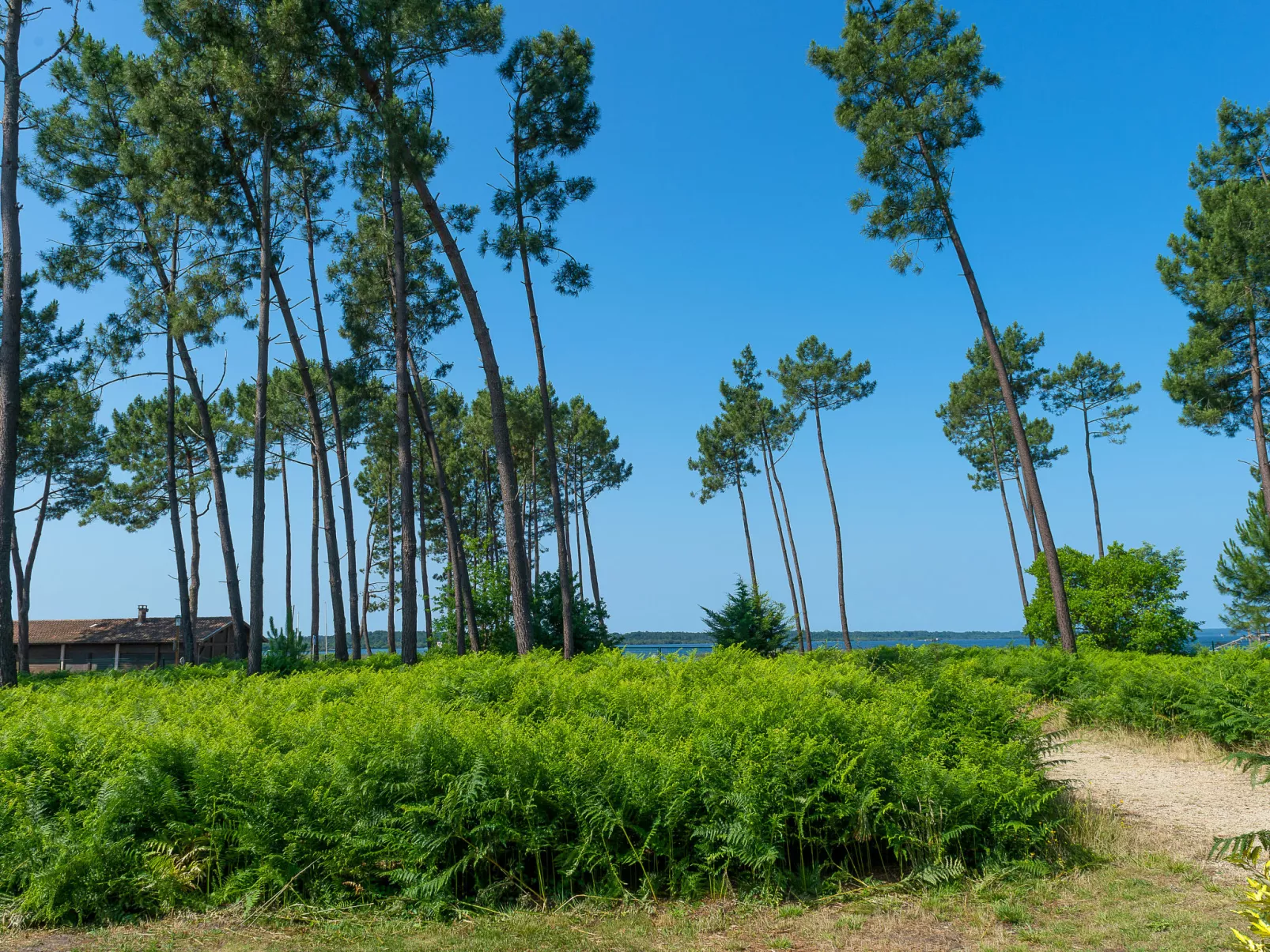 Les Cottages du Lac T2-Buiten