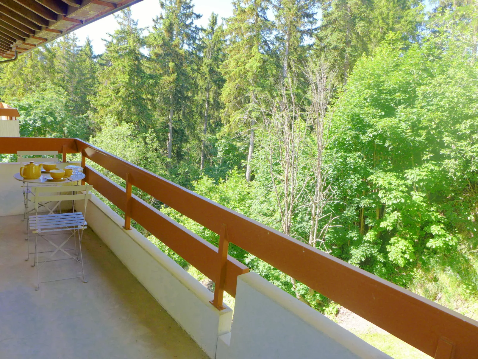 Terrasse Des Alpes 3008-Buiten