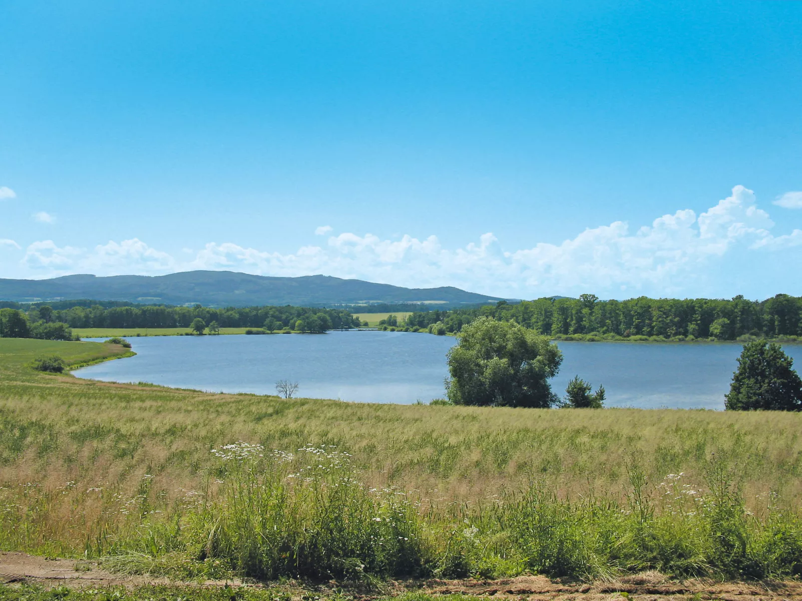 Jirka-Omgeving