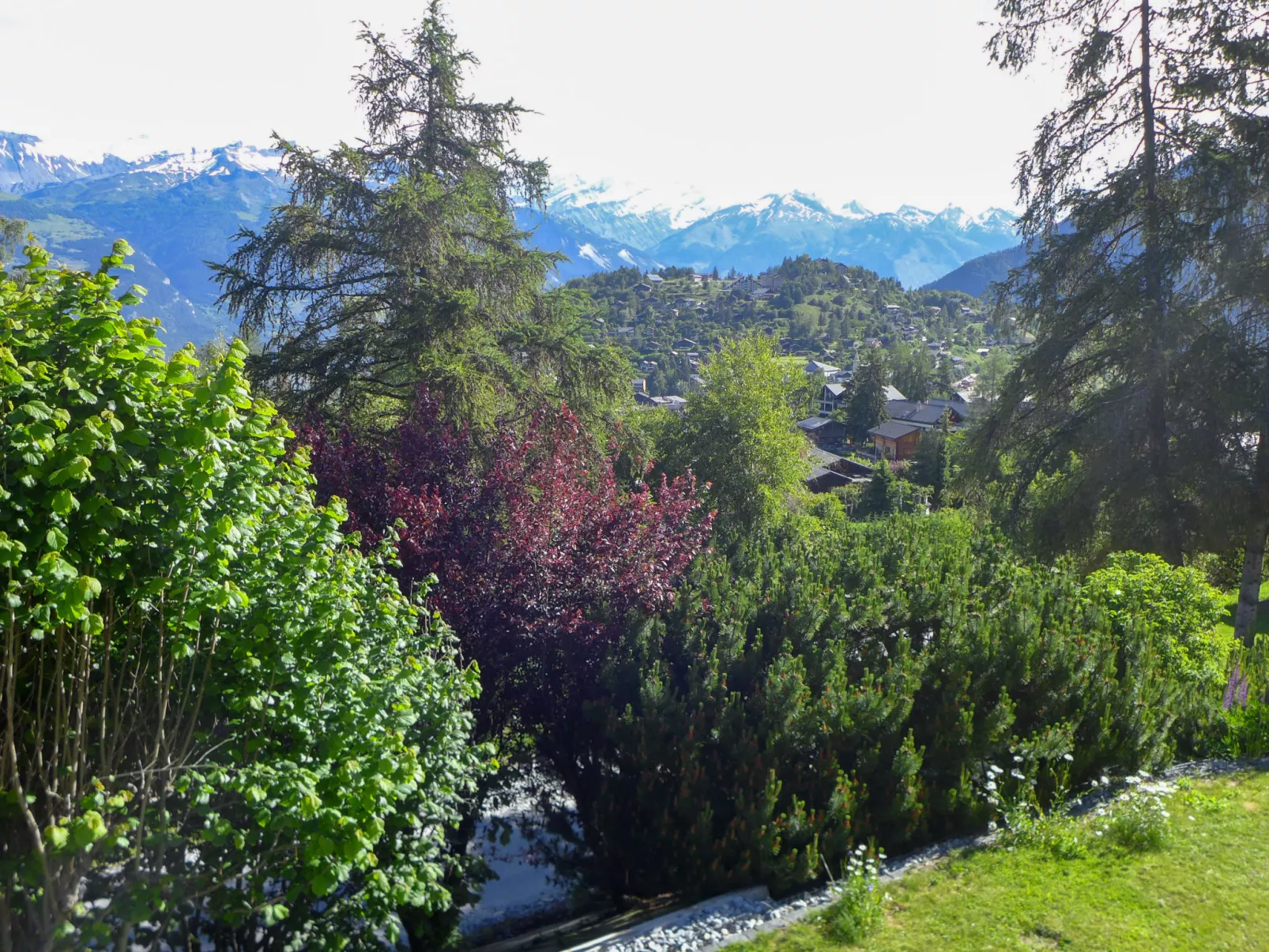 Chalet Les Anémones-Buiten