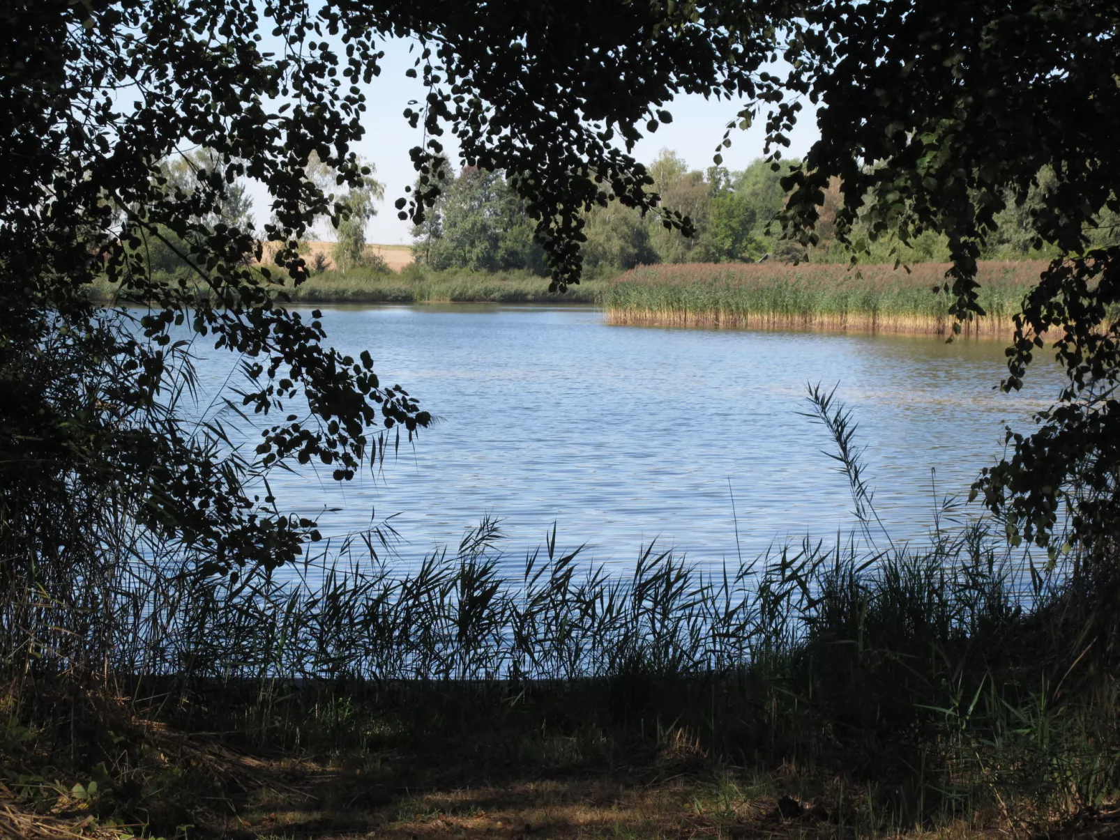 Marta-Buiten